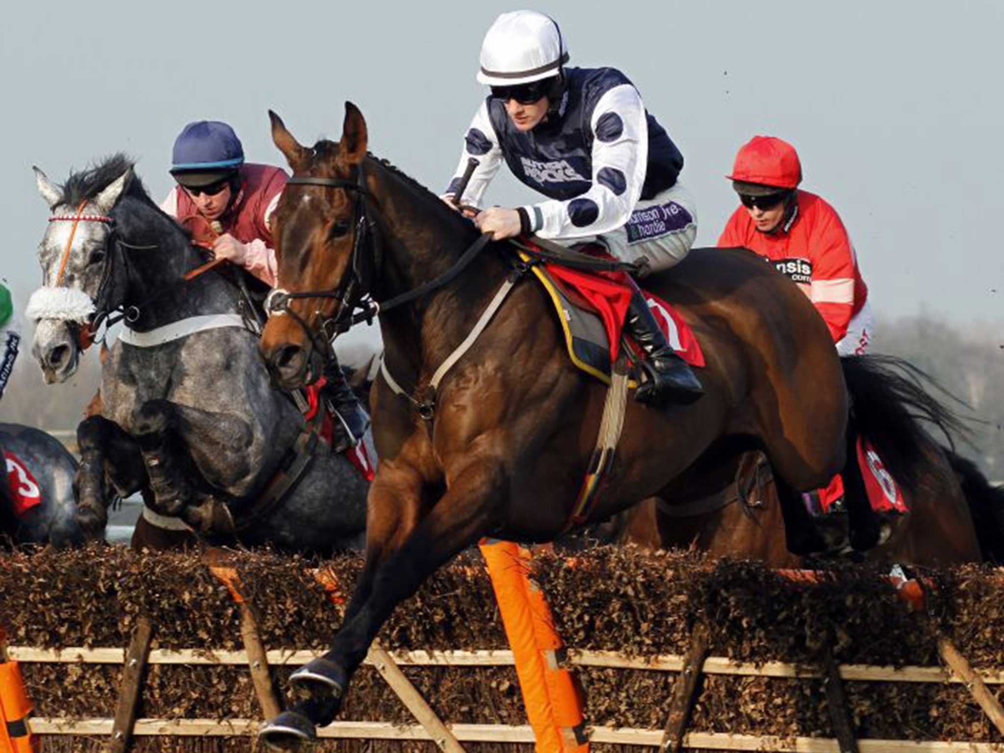 Ballycross wins The Team Army Handicap Hurdle Sandown