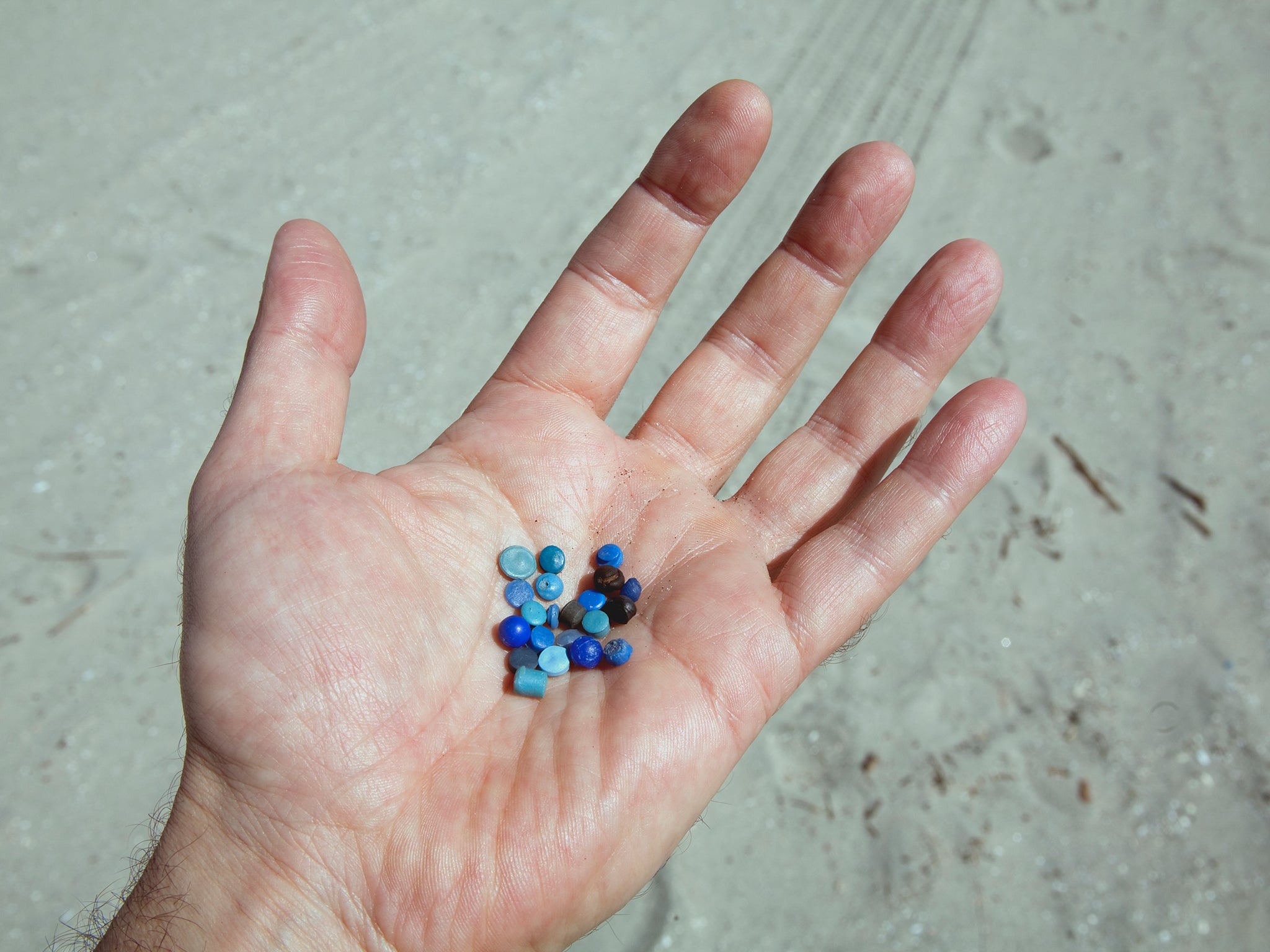 Up to 53 billion nurdles – the building blocks of the plastic industry – are said to escape from Britain’s manufacturing plants each year