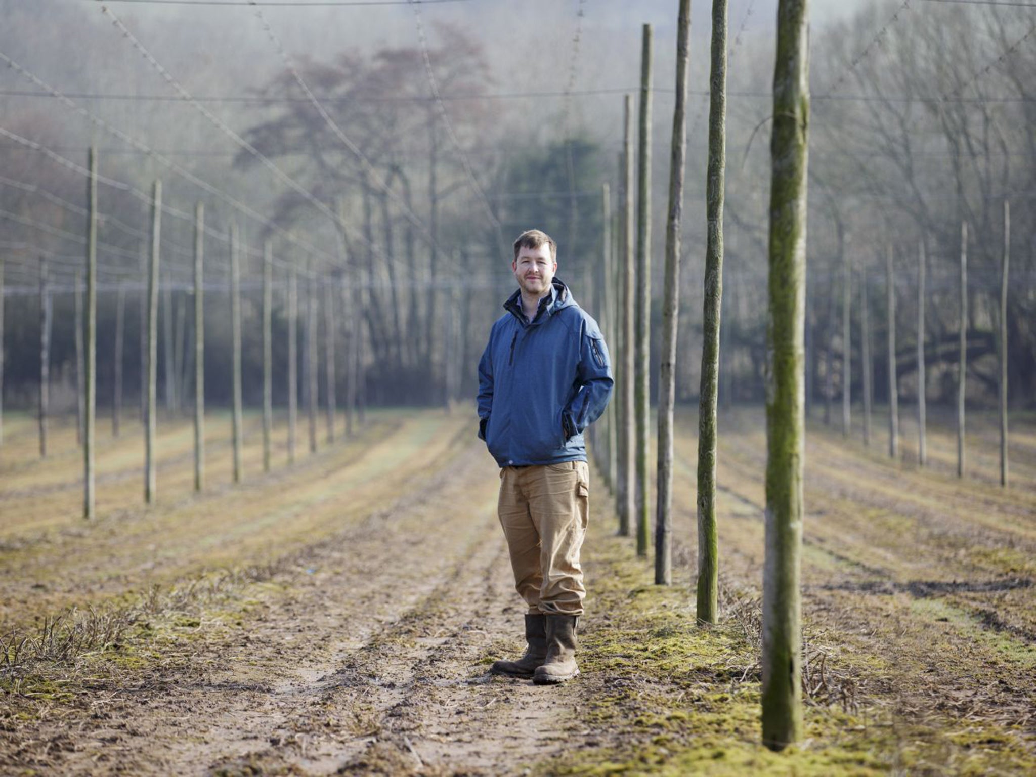 Will Kirby in one of his fields freshly planted with hops