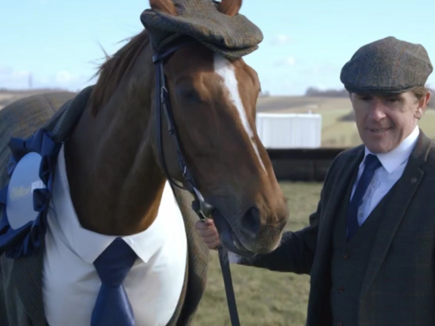 Racehorse models world’s first equine tweed suit