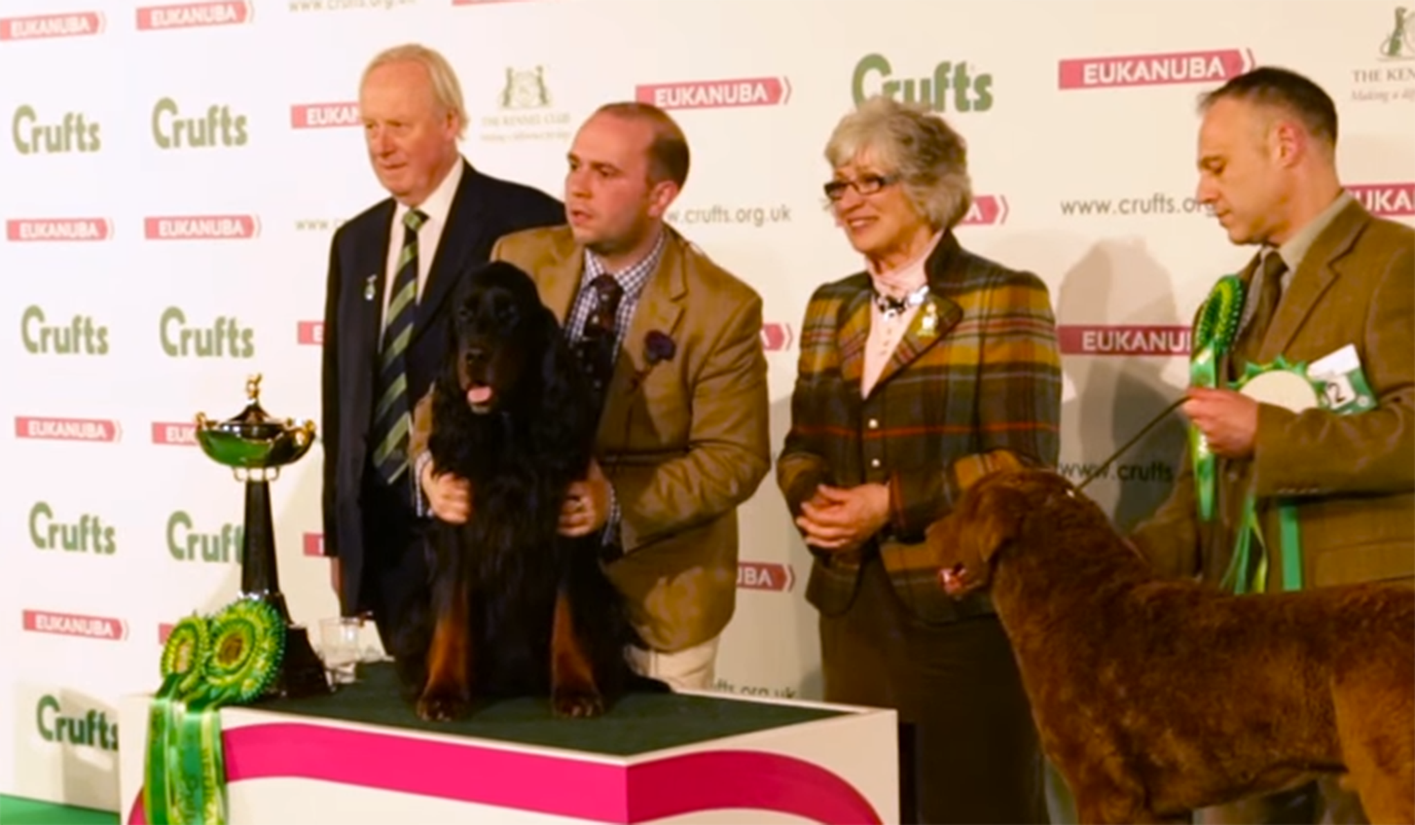 Judge Di Arrowsmith (second right) next to the winner the Gundog category, Lourdace Fulcrum the Gordon Setter