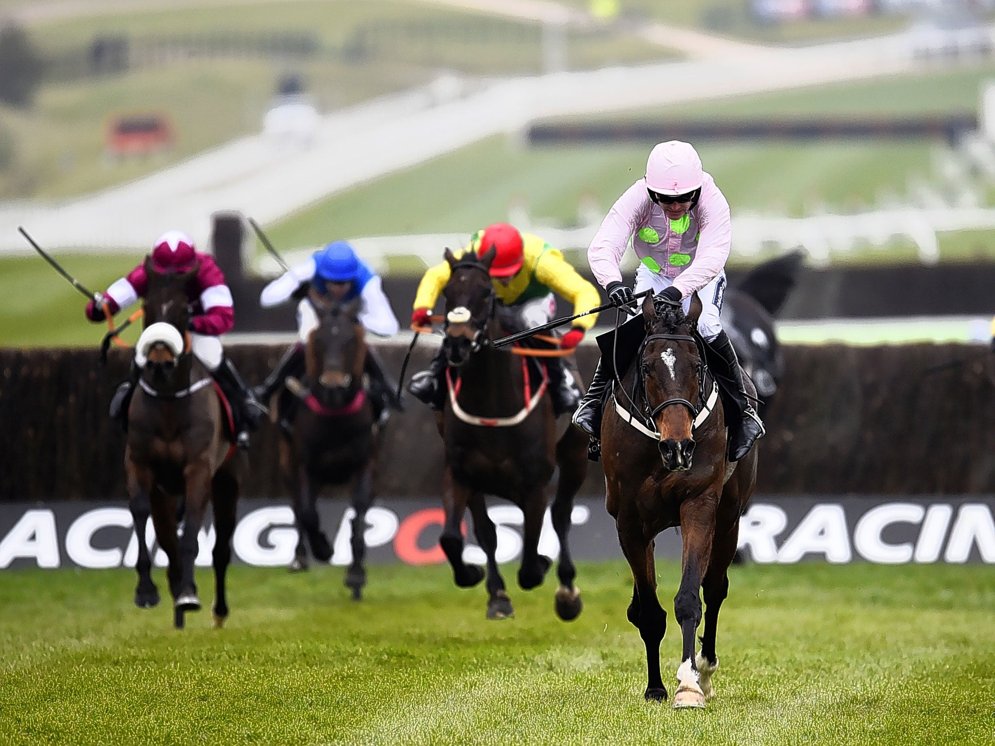 Douvan and Ruby Walsh leave their rivals toiling in the Arkle Trophy