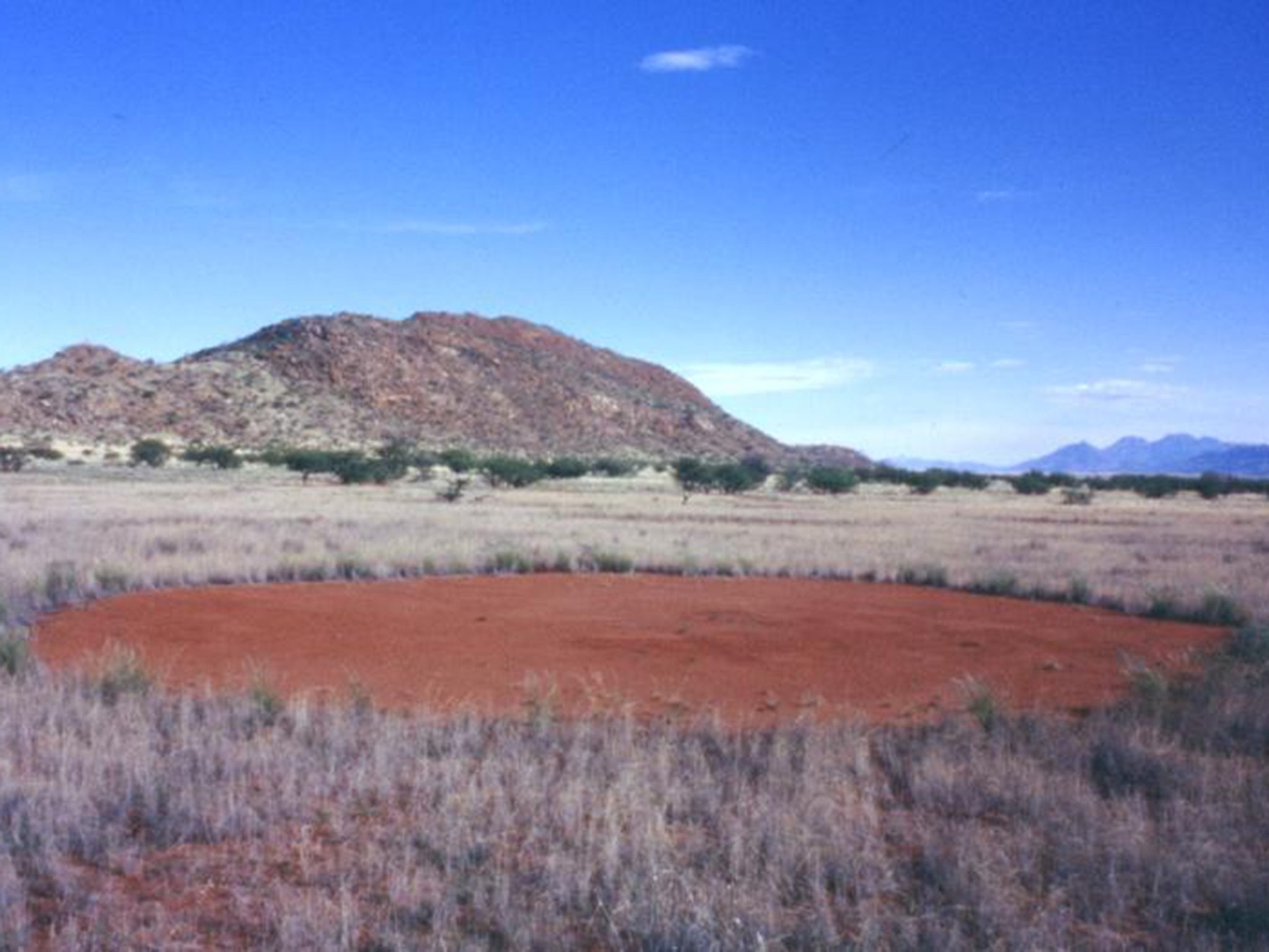 Fairy circles seem too perfect to be of this world when viewed from above