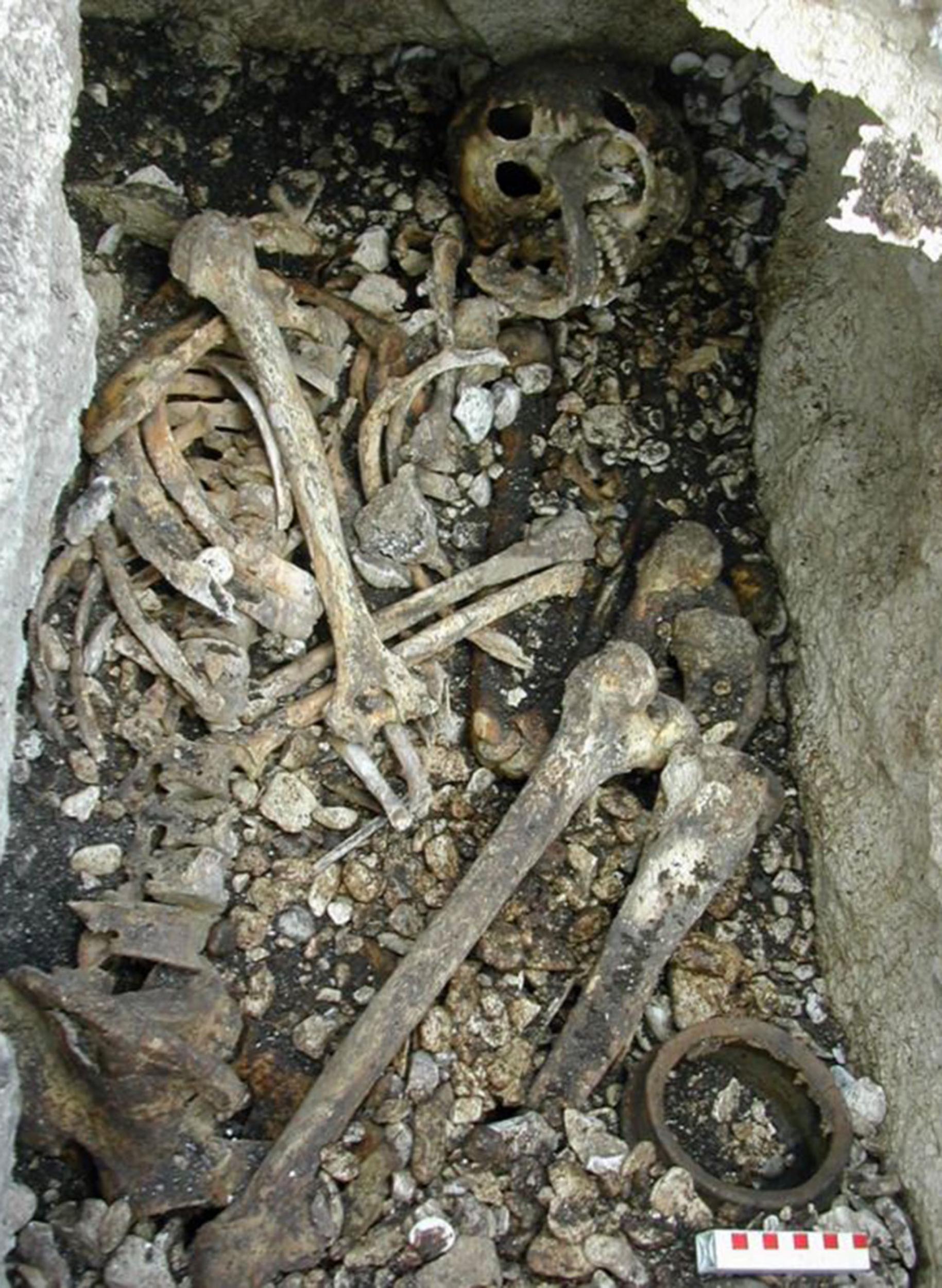 These bones were discovered behind McCuaig's Bar in County Antrim, Northern Ireland. A DNA analysis of them challenges conventional history.