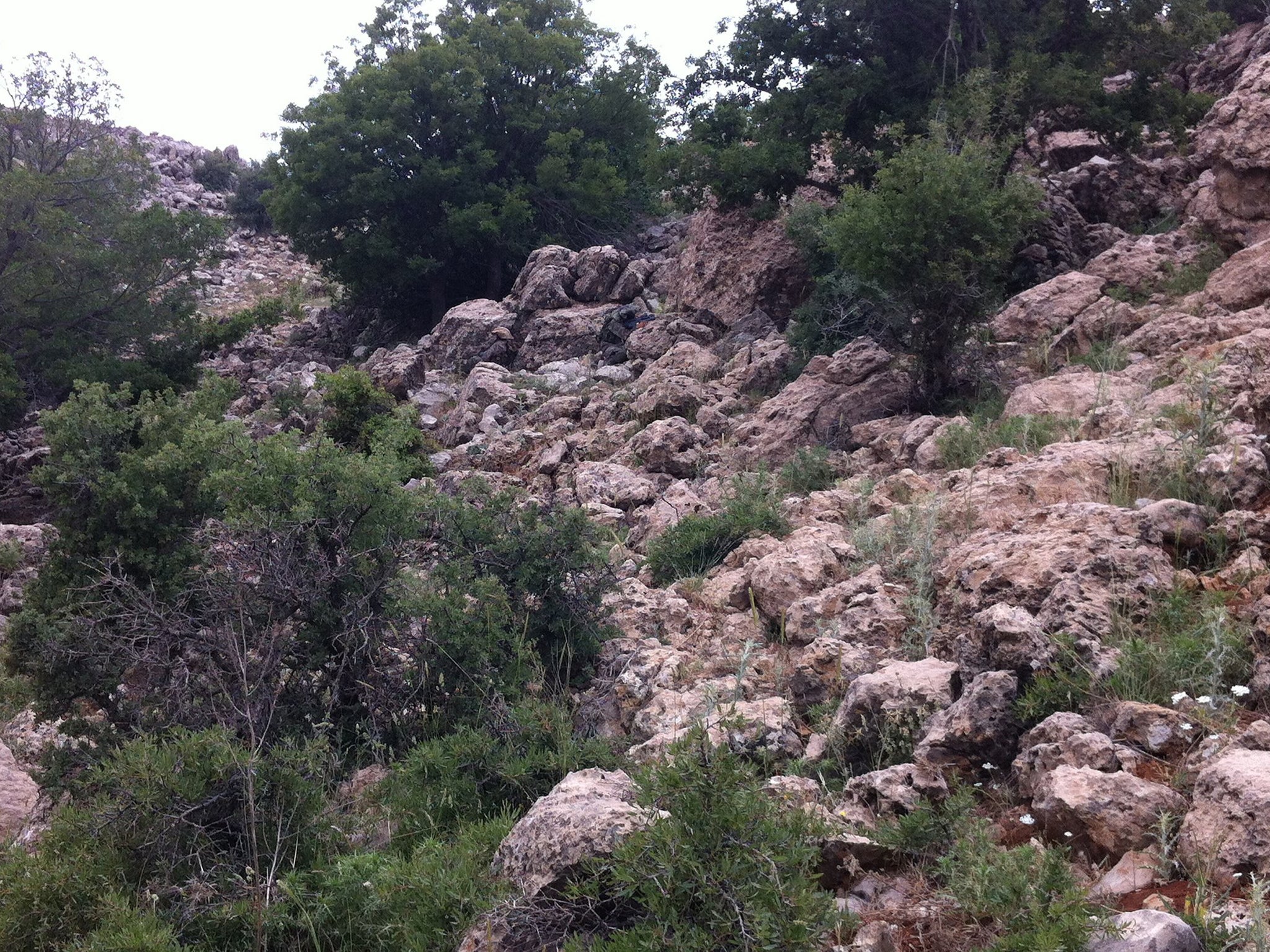 The elite reconnaissance team specializes in countering guerrilla warfare along Israel's northern border