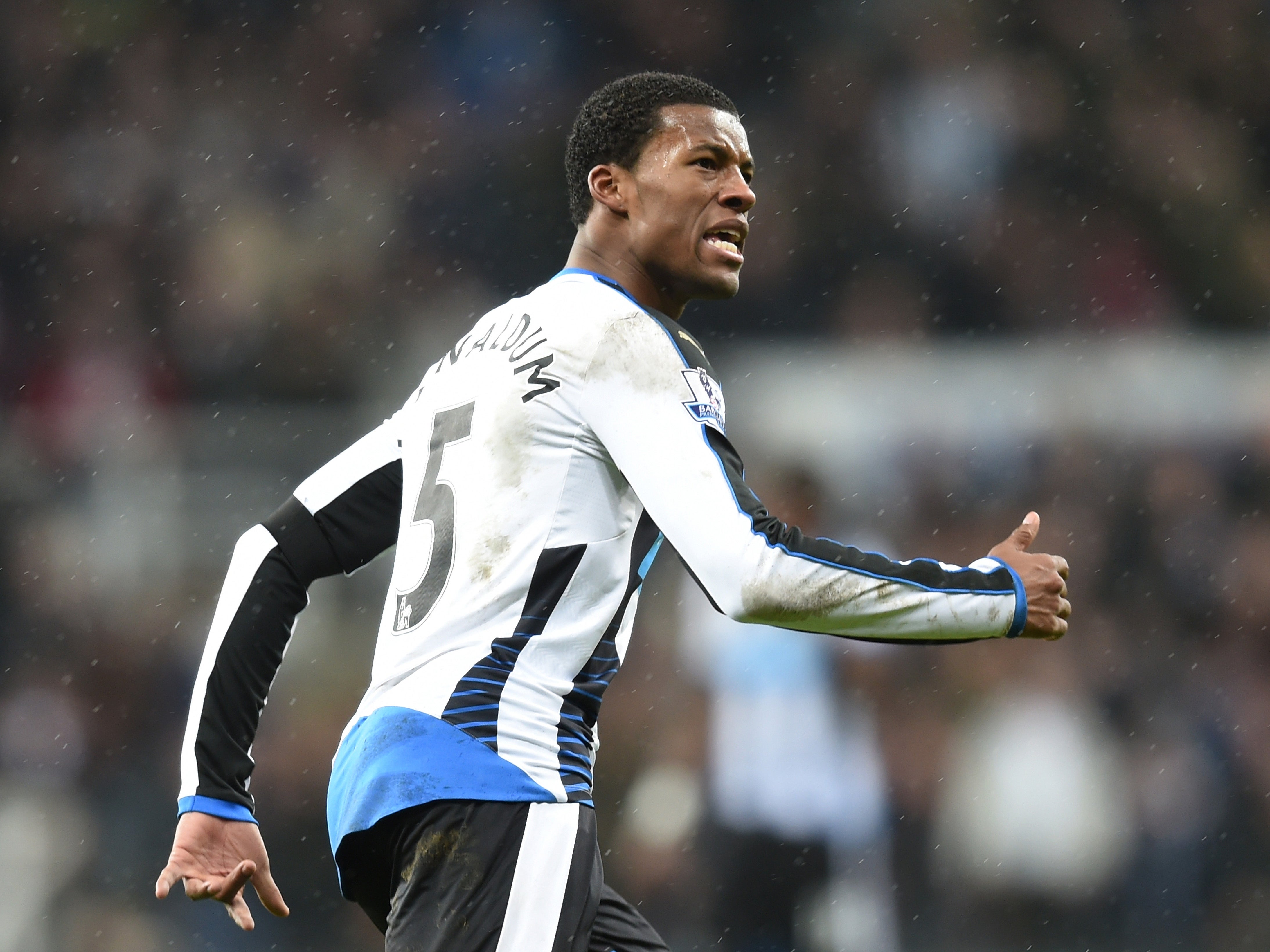 Having impressed in patches this season, Wijnaldum will probably be one of the few at St James’ Park that could interest some of the top flight’s leading clubs.

Unlike Sissoko, the Netherlands international’s ability matches his ambition. Potentially a useful addition for clubs competing in Europe.