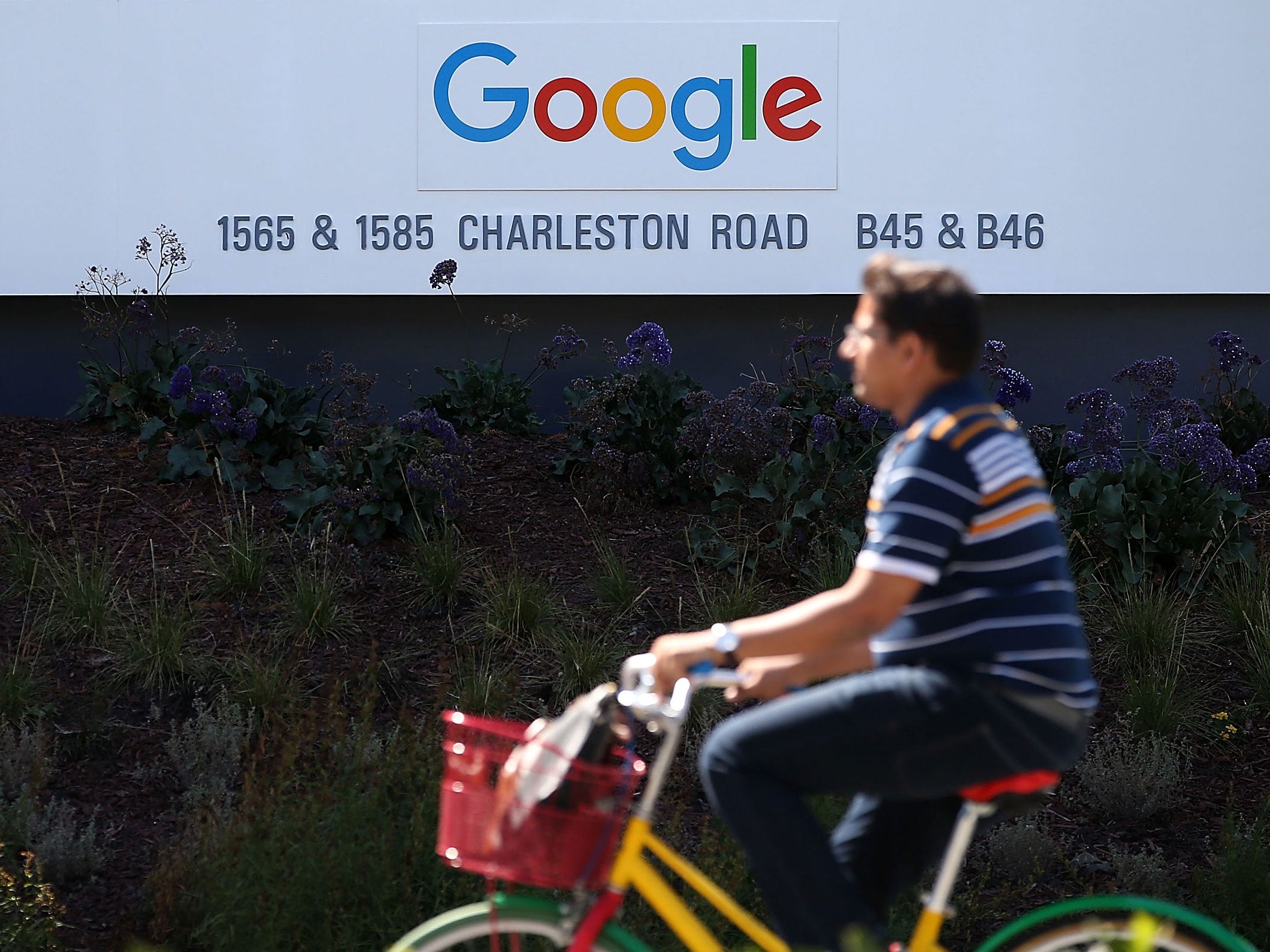 A Googler cycles near the company's HQ in California