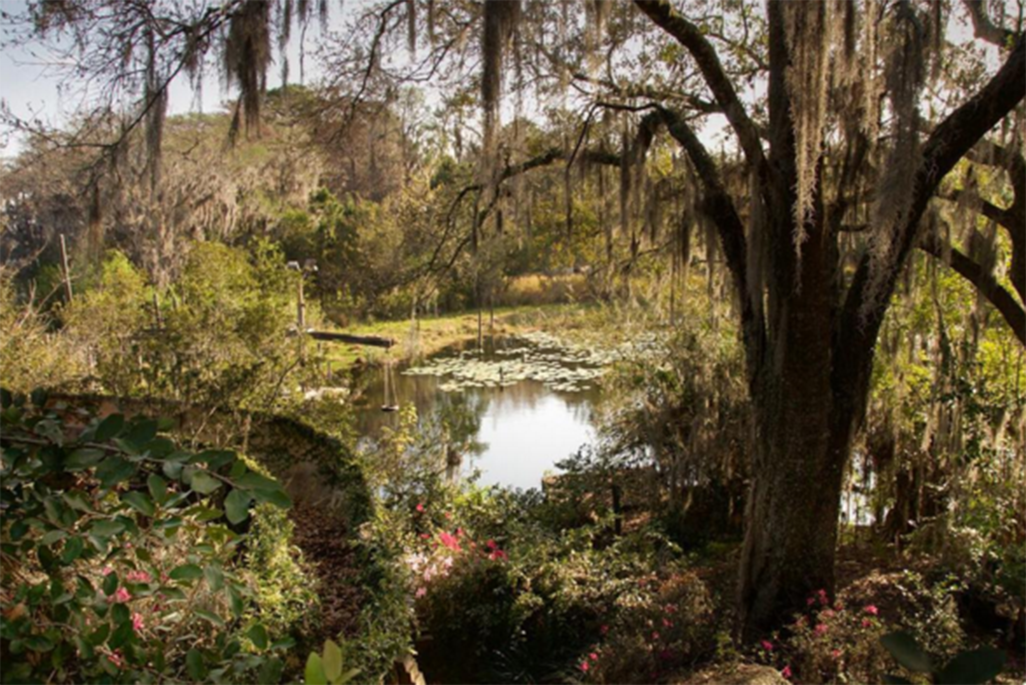 In 1980, a young boy died after a rare amoeba entered his brain via his nose and attacked his nervous system