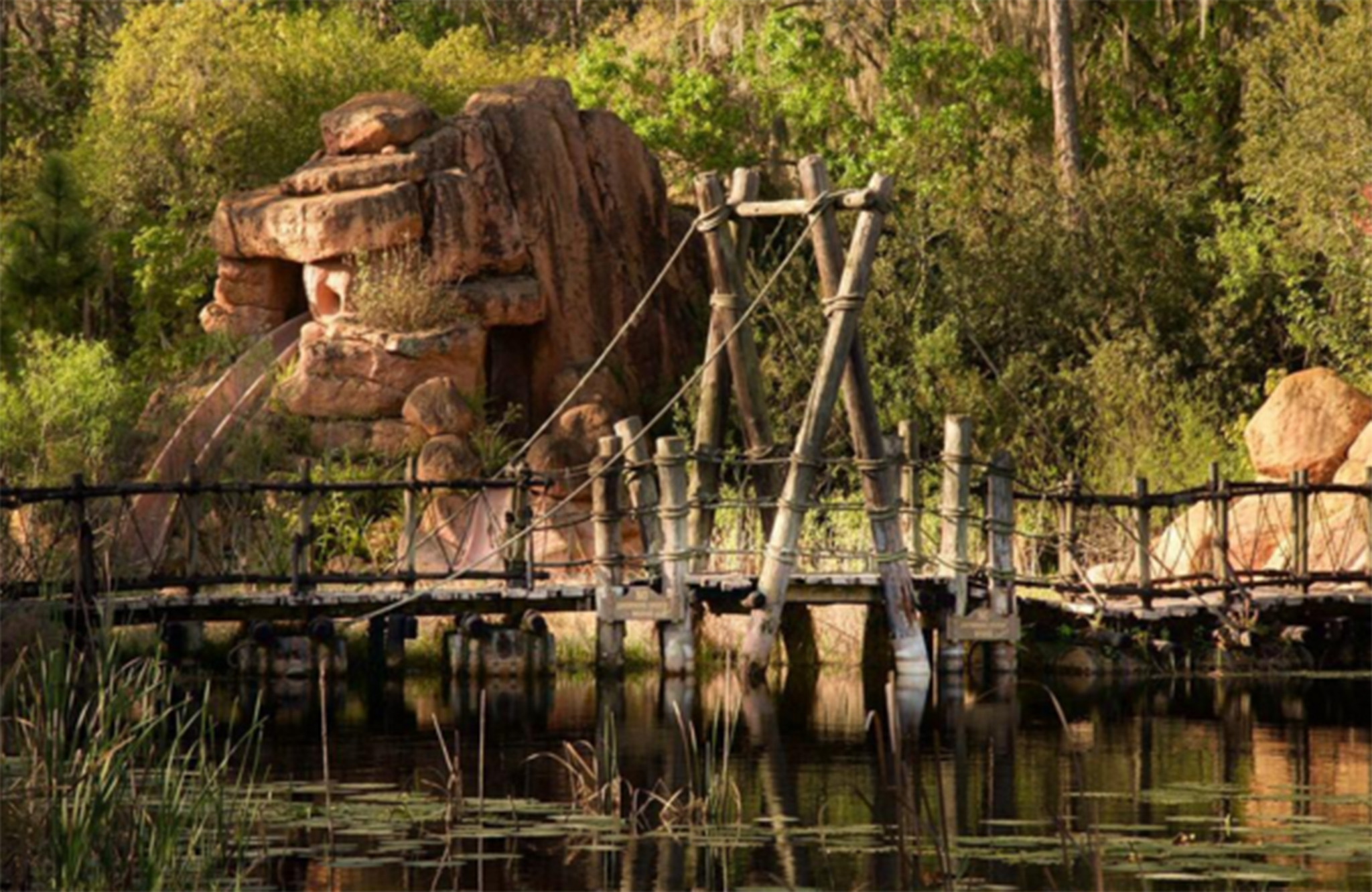 These photos were taken remotely using a camera attached to a drone