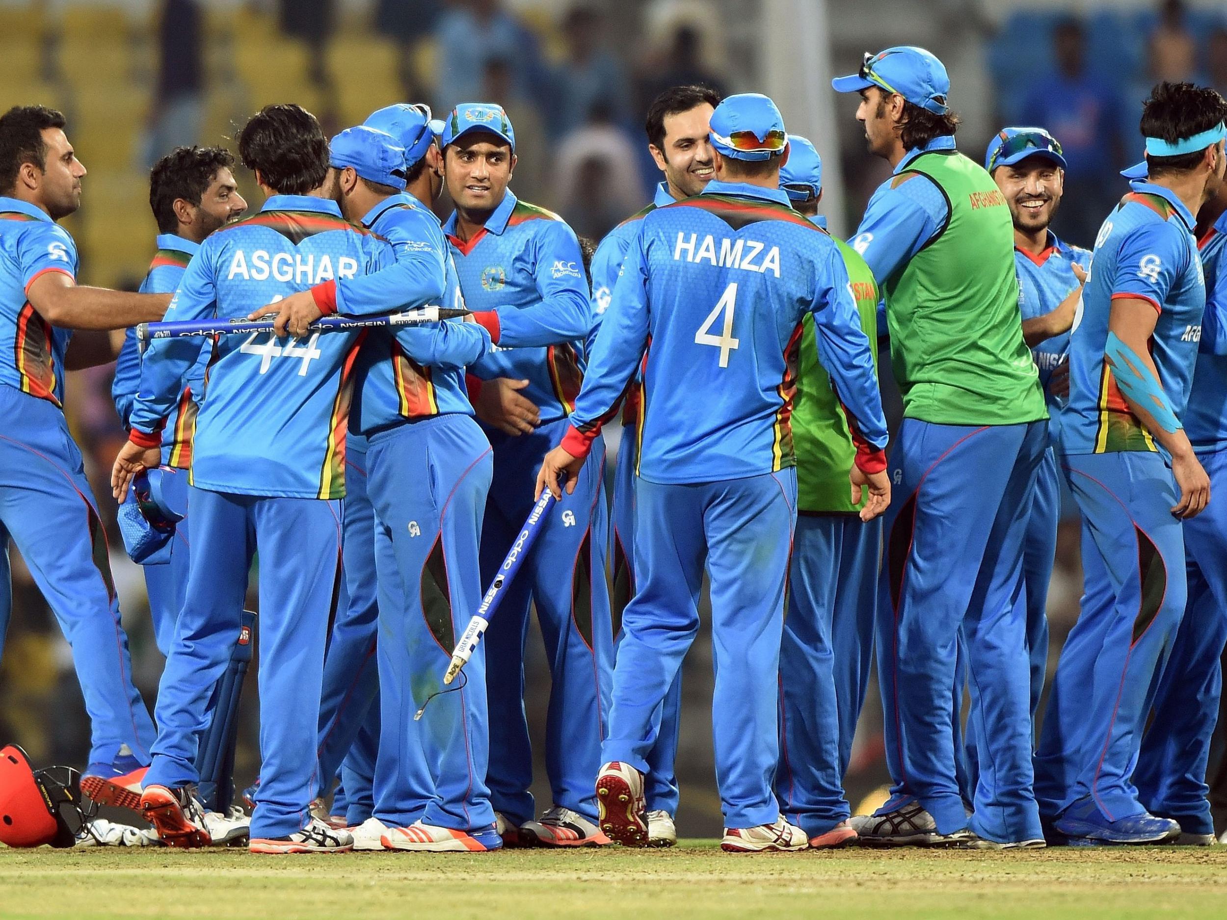 Afghanistan ended their World Twenty20 campaign on a high