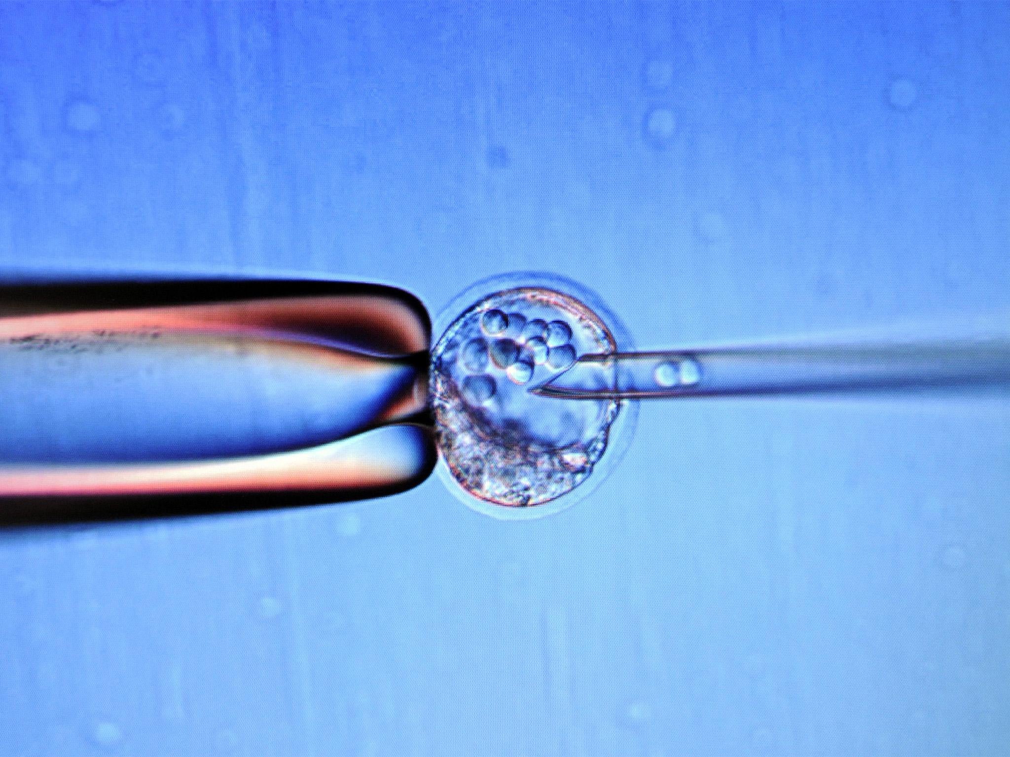 There is currently a 13 day limit to observing human embryo growth