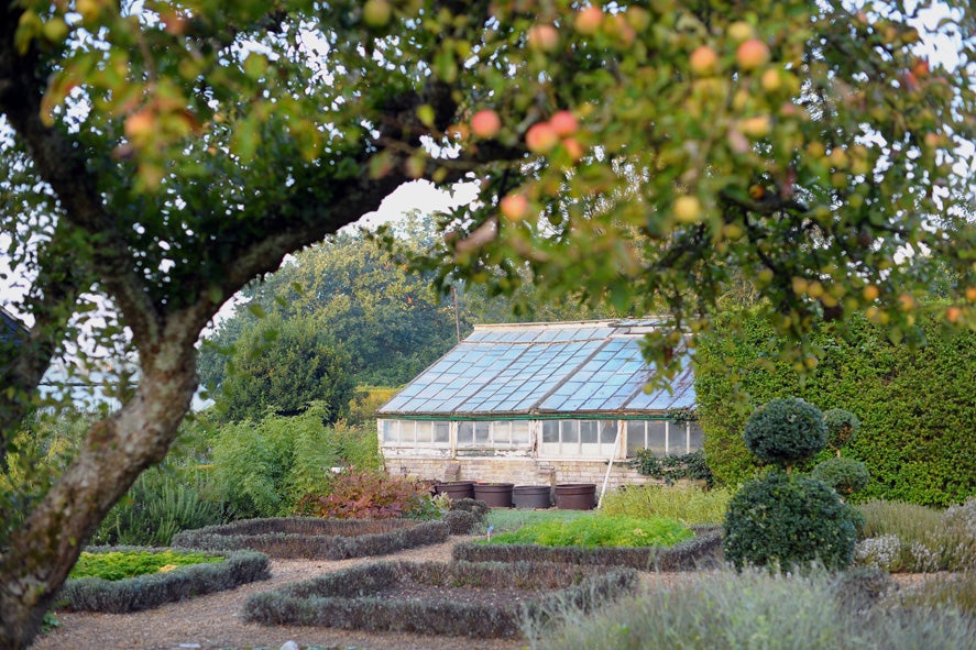 The gardens and greenhouse at Congham Hall