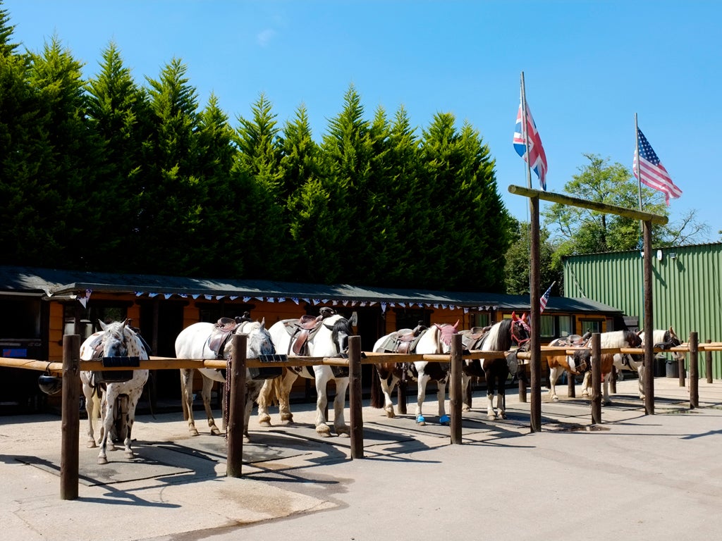 Burley Villa stables, New Forest