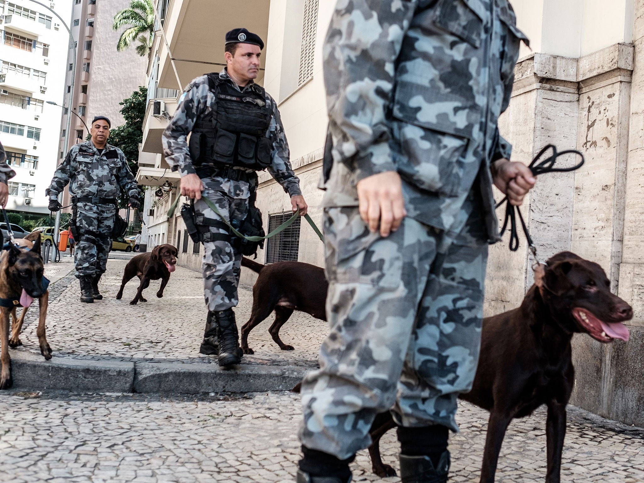 Brazilian security officers handle their sniffer dogs during training