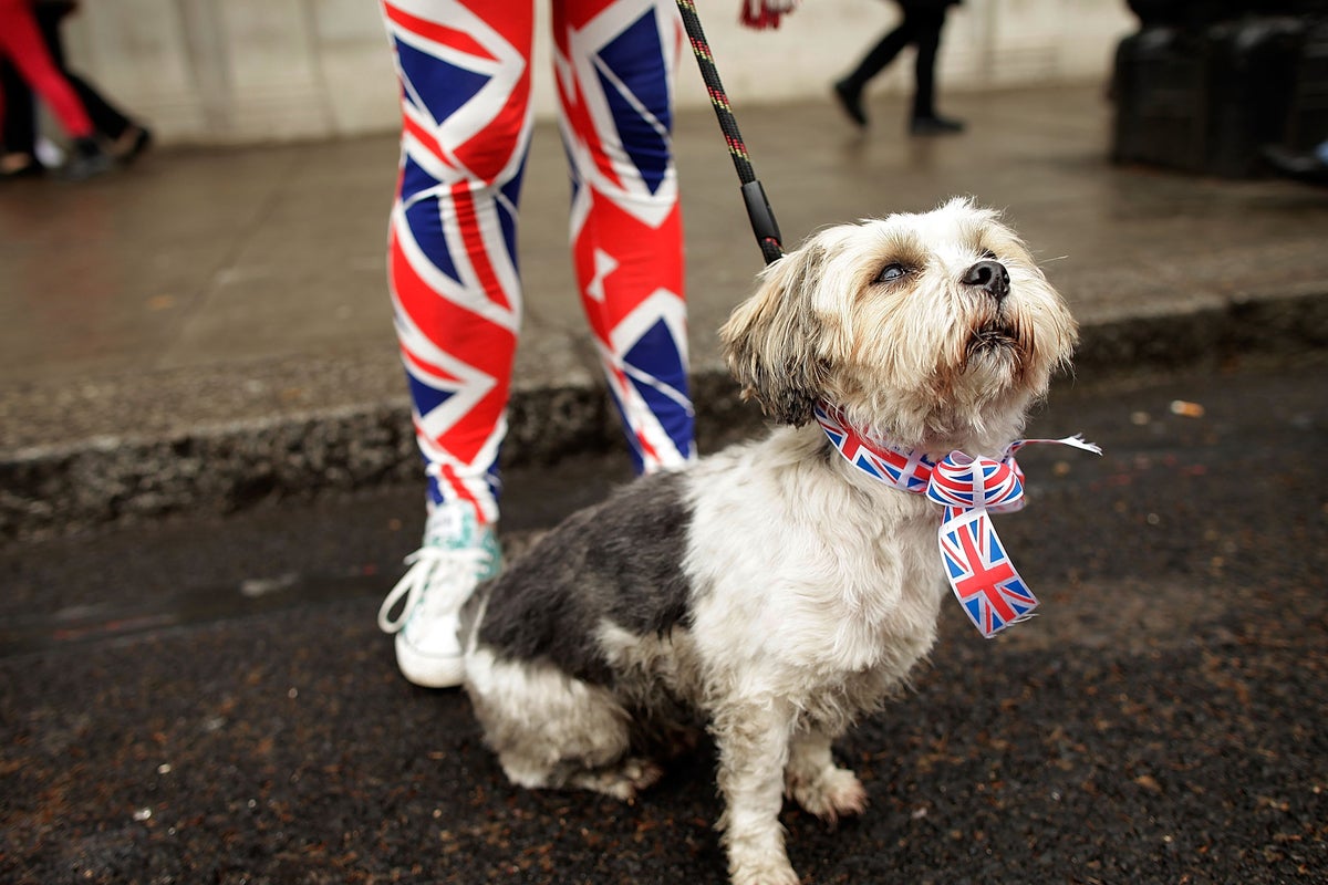www.independent.co.uk
