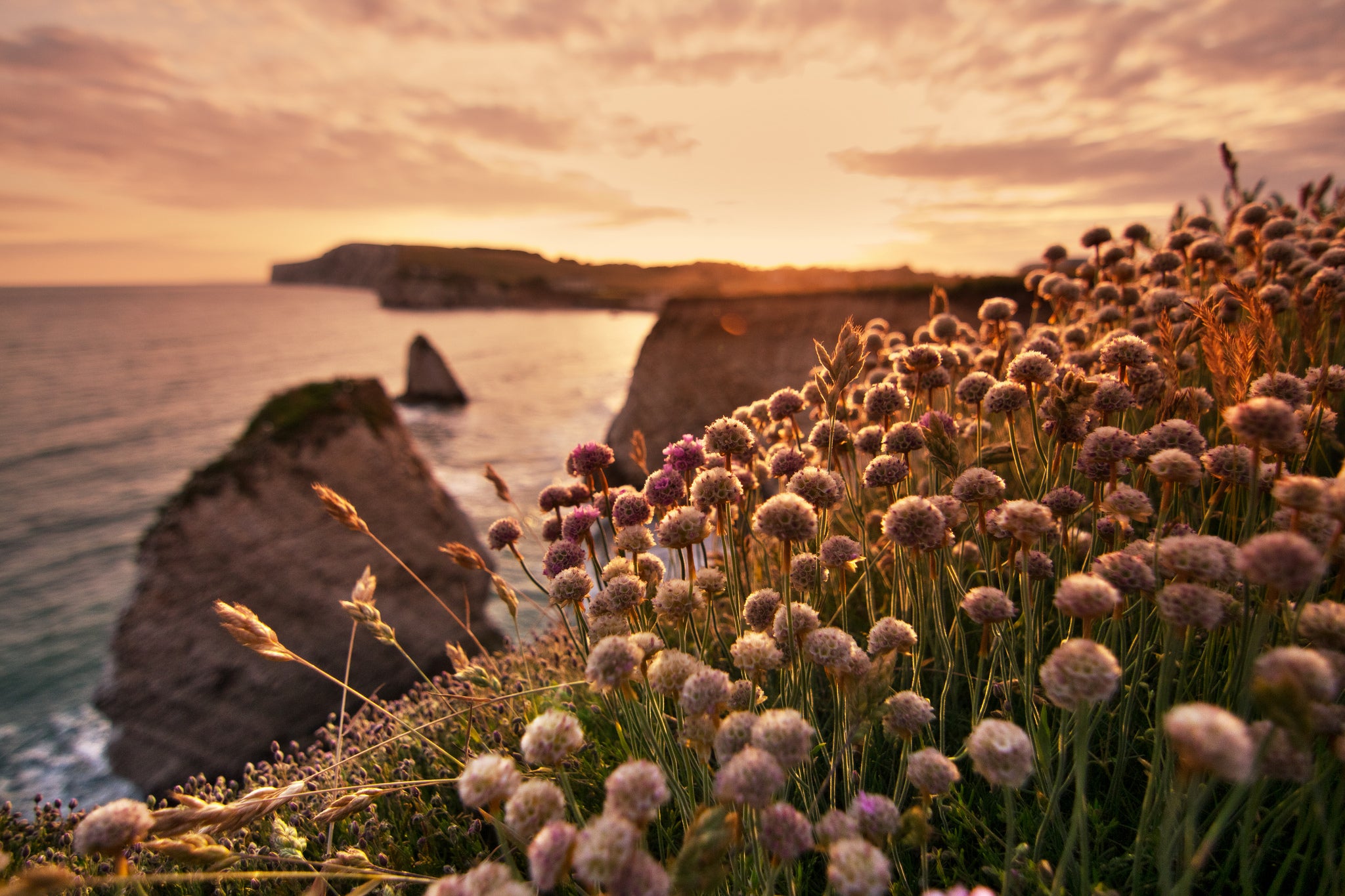 Freshwater Bay