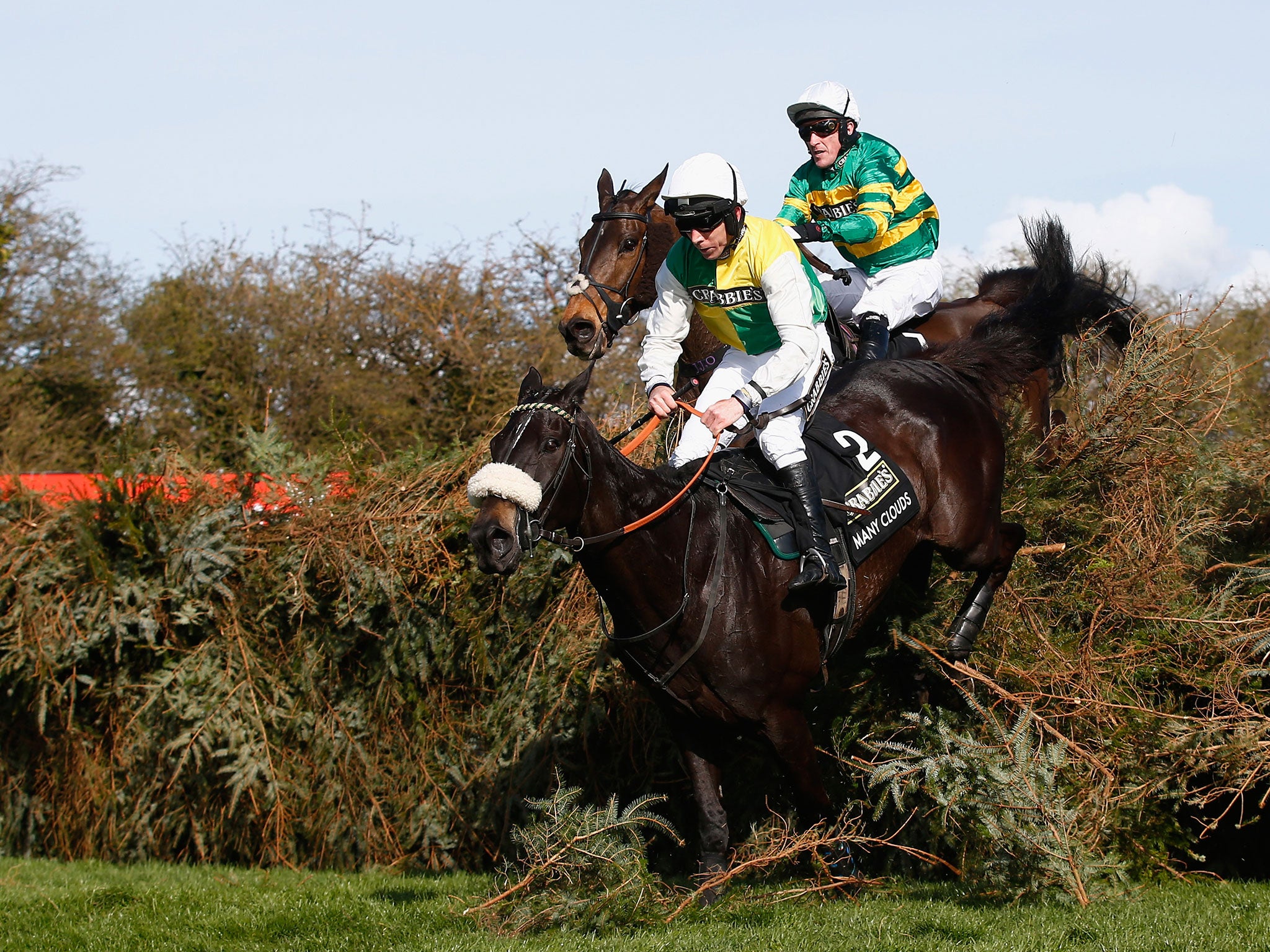 Many Clouds ridden by Leighton Aspell on his way to winning the 2015 Crabbie's Grand National at Aintree