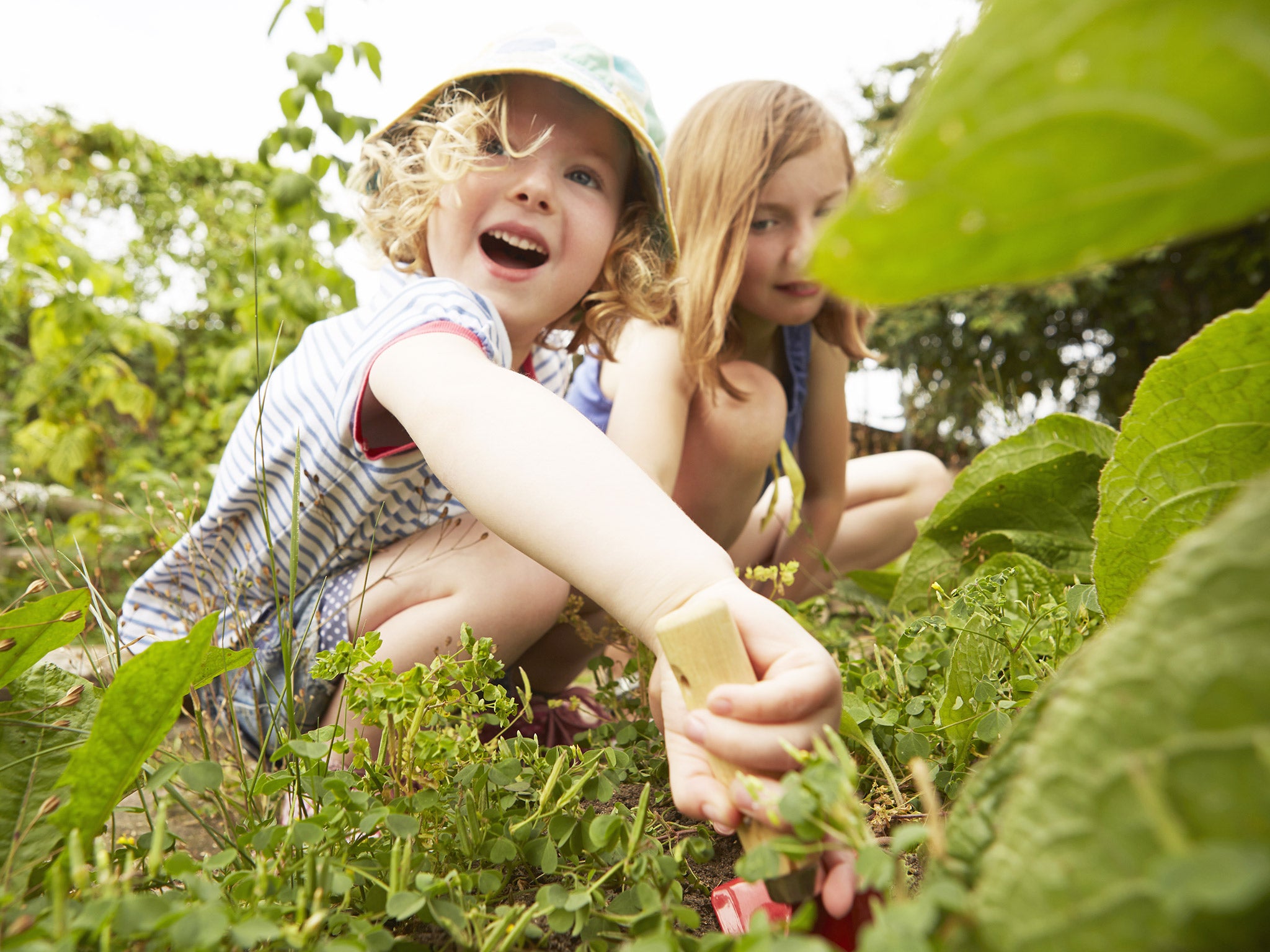 Having a nice garden or living in areas with lots of vegetation appears to lower your risk of death