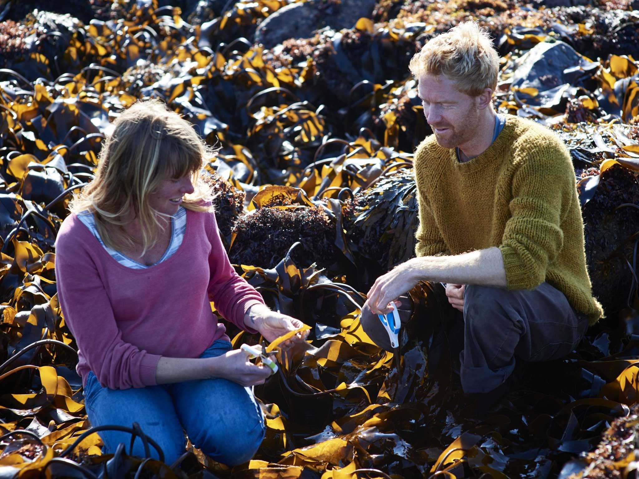 The Cornish Seaweed Company’s Caro Warwick-Evans and Tim van Berkel