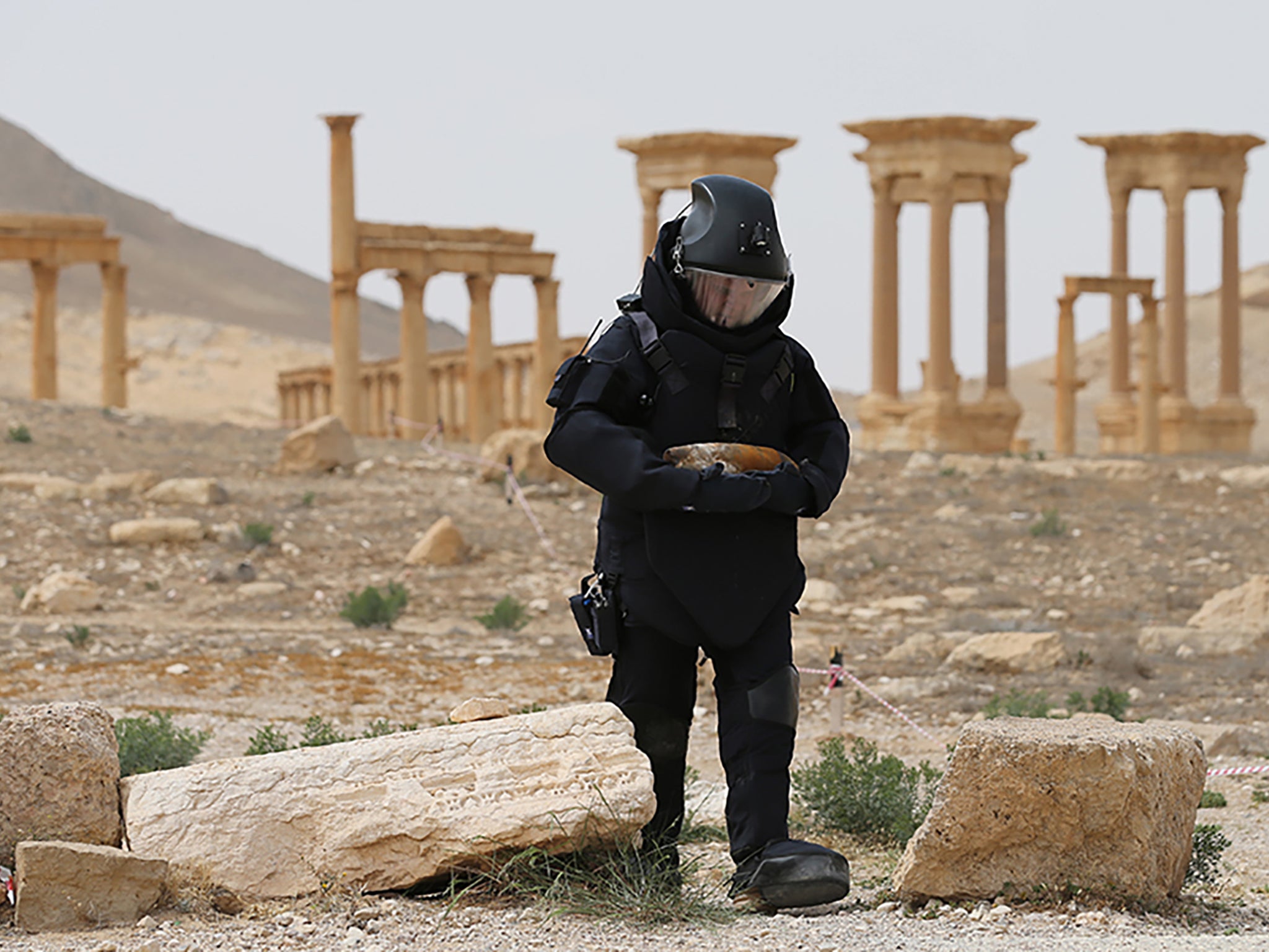 &#13;
The Syrian Army said Isis had rigged animals with explosives in Palmyra&#13;