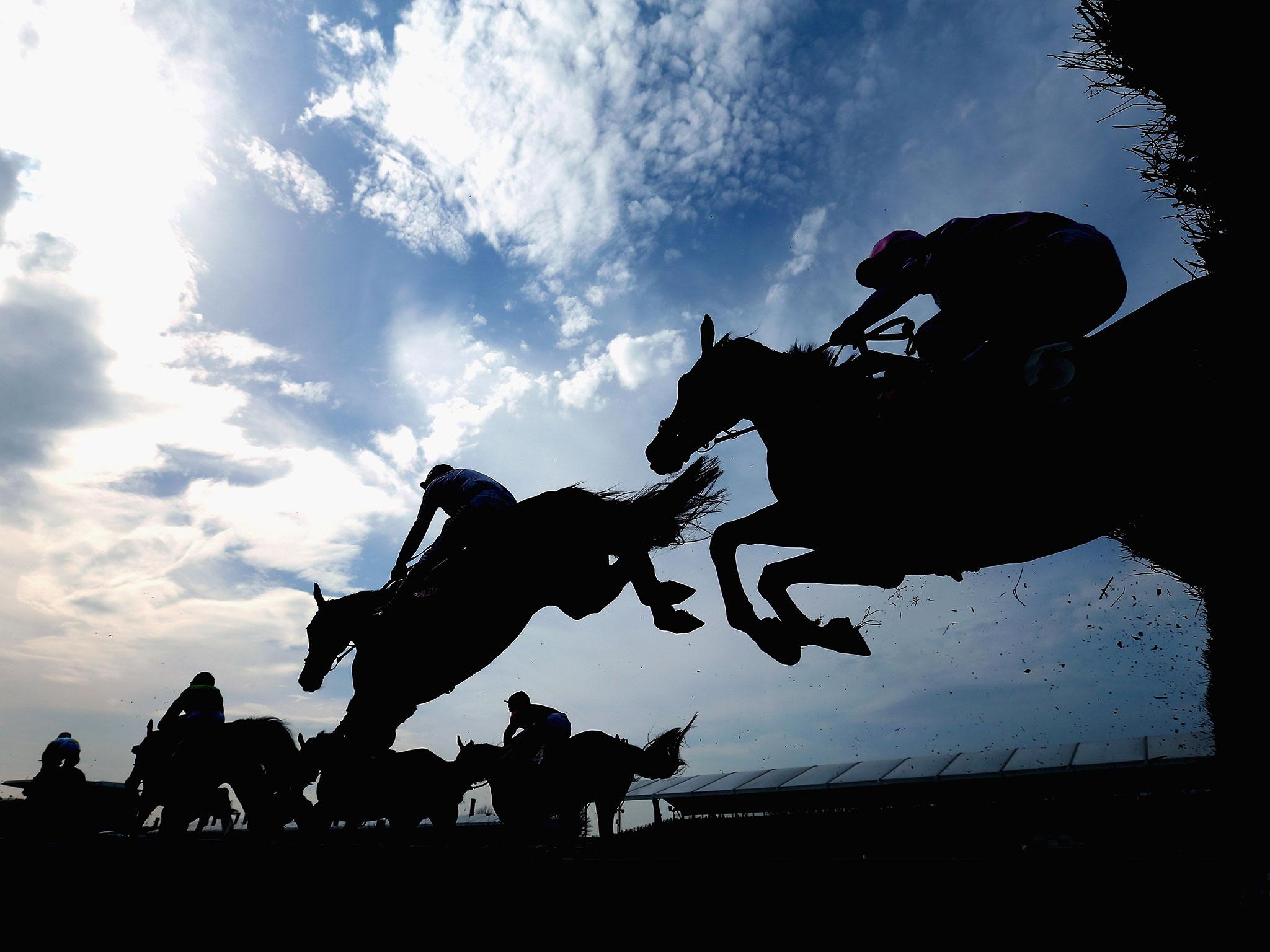 Since 2000, 42 horses have died at Aintree