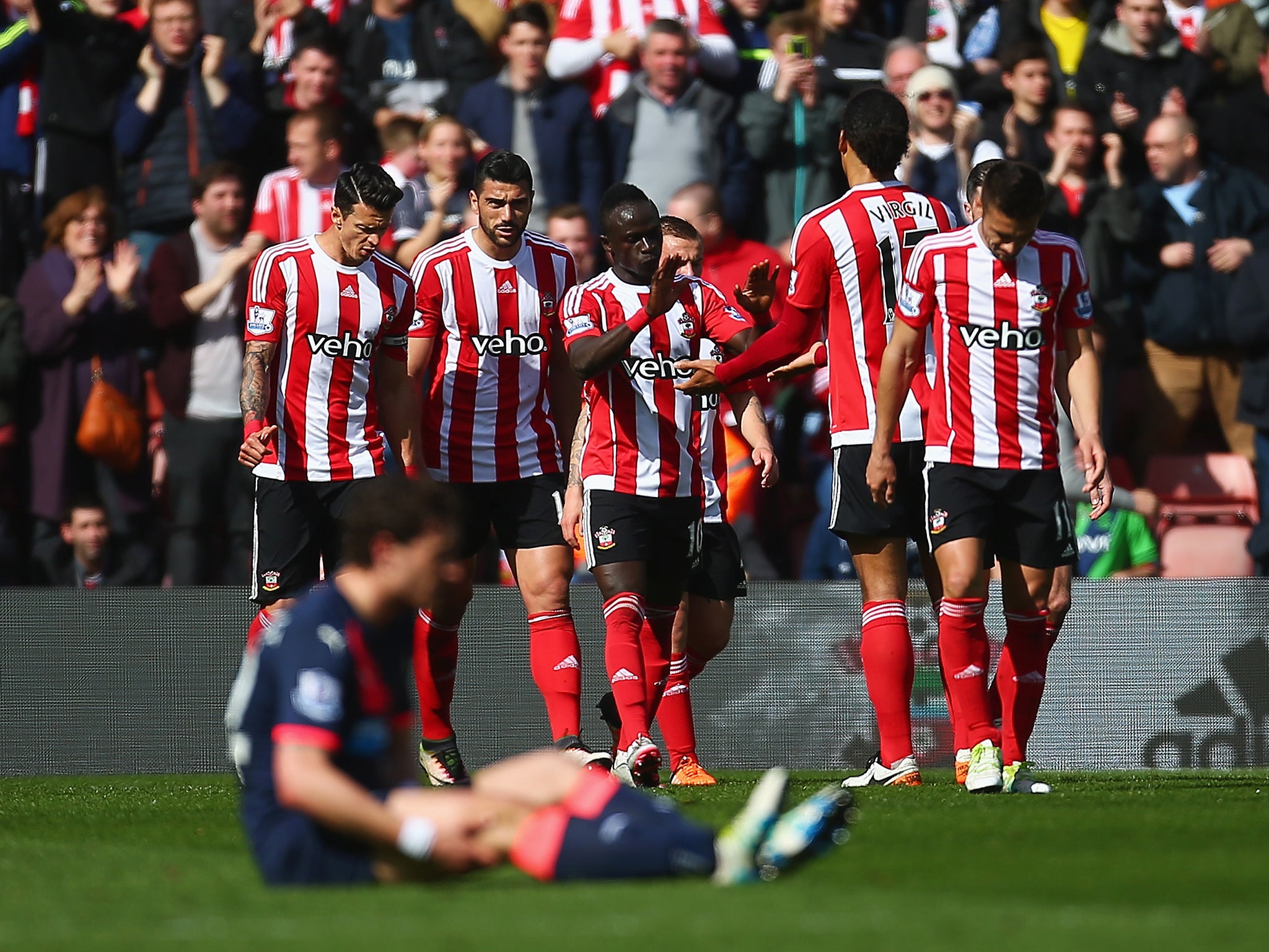 Graziano Pelle celebrates with his Southampton team-mates after scoring against Newcastle