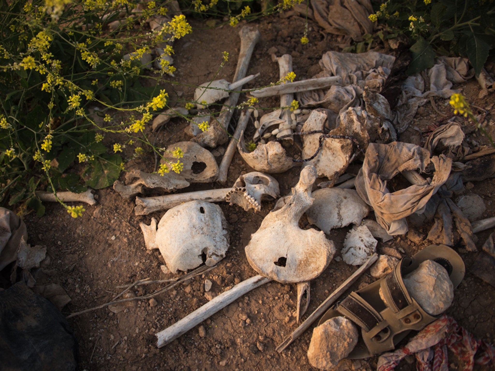 'This is why we fight,' young fighter Haveen is determined to avenge the Yazidi women. In Sinjar mass graves are being discovered on a daily basis. The International Commission on Missing Persons are about to begin the exhumation process. Mass graves are scattered around Sinjar