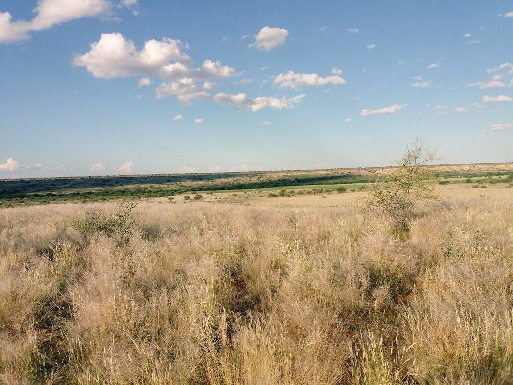 The Namibian countryside, where Burger is to live upon retirement from professional rugby