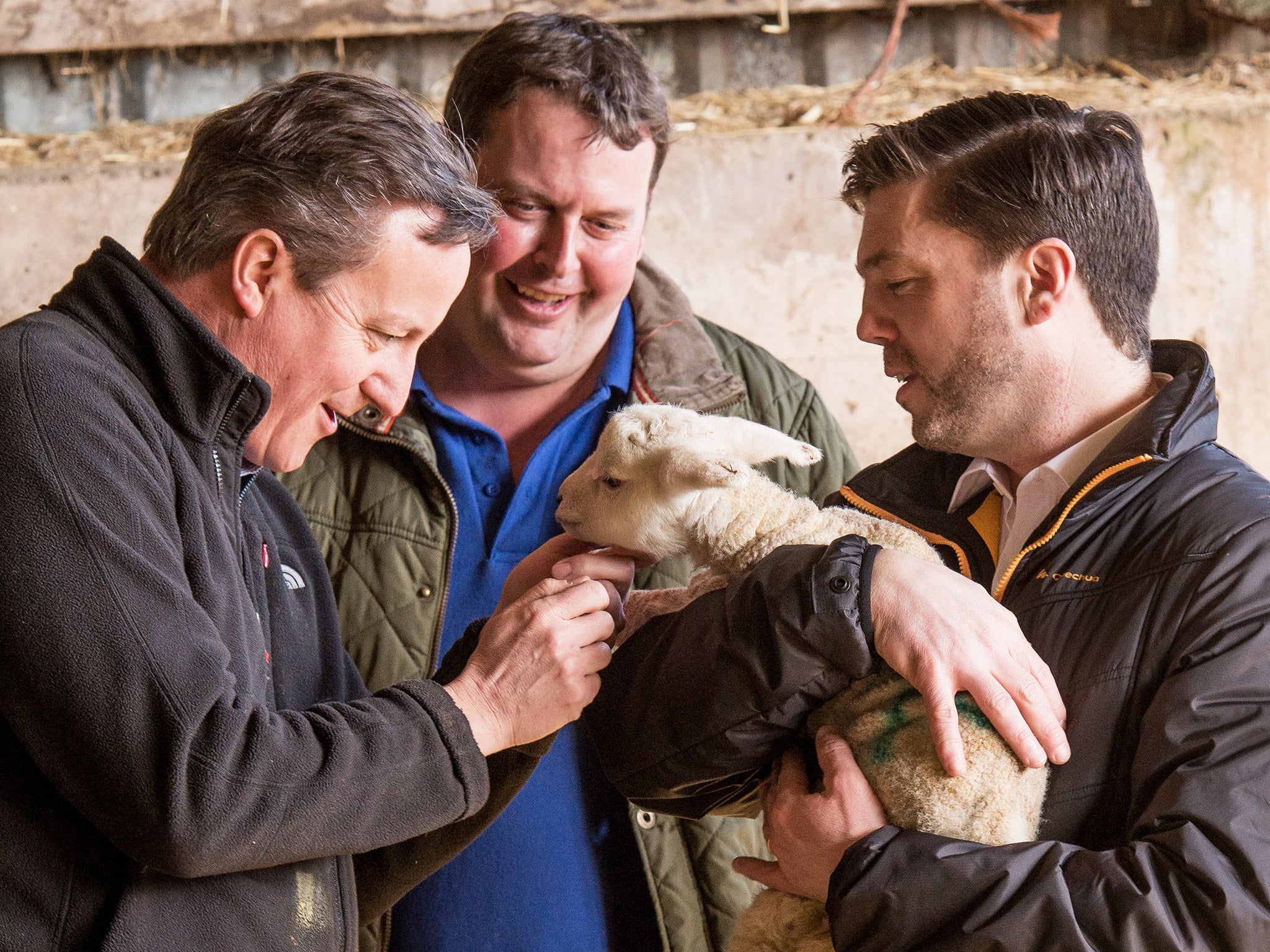 Stephen Crabb (right) visiting a farm with the Prime Minister, in Denbighshire, last month