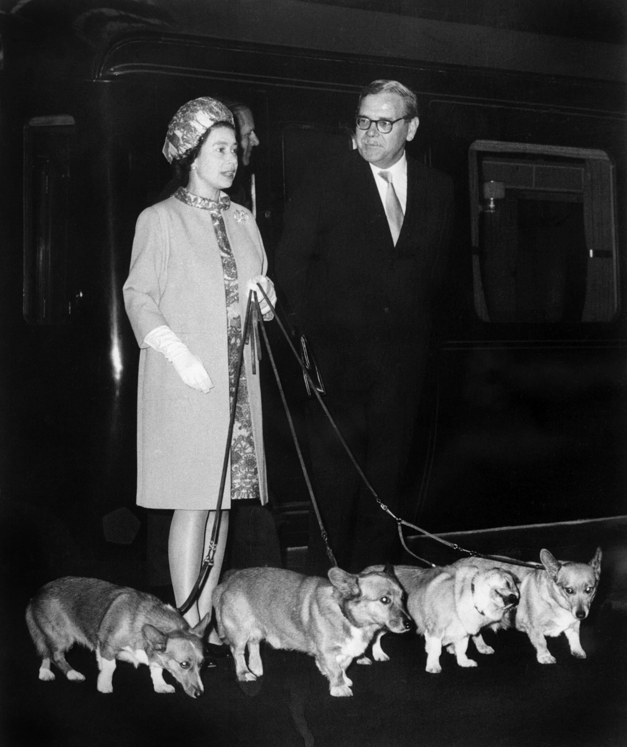 The Queen with four of her corgis in October 1969