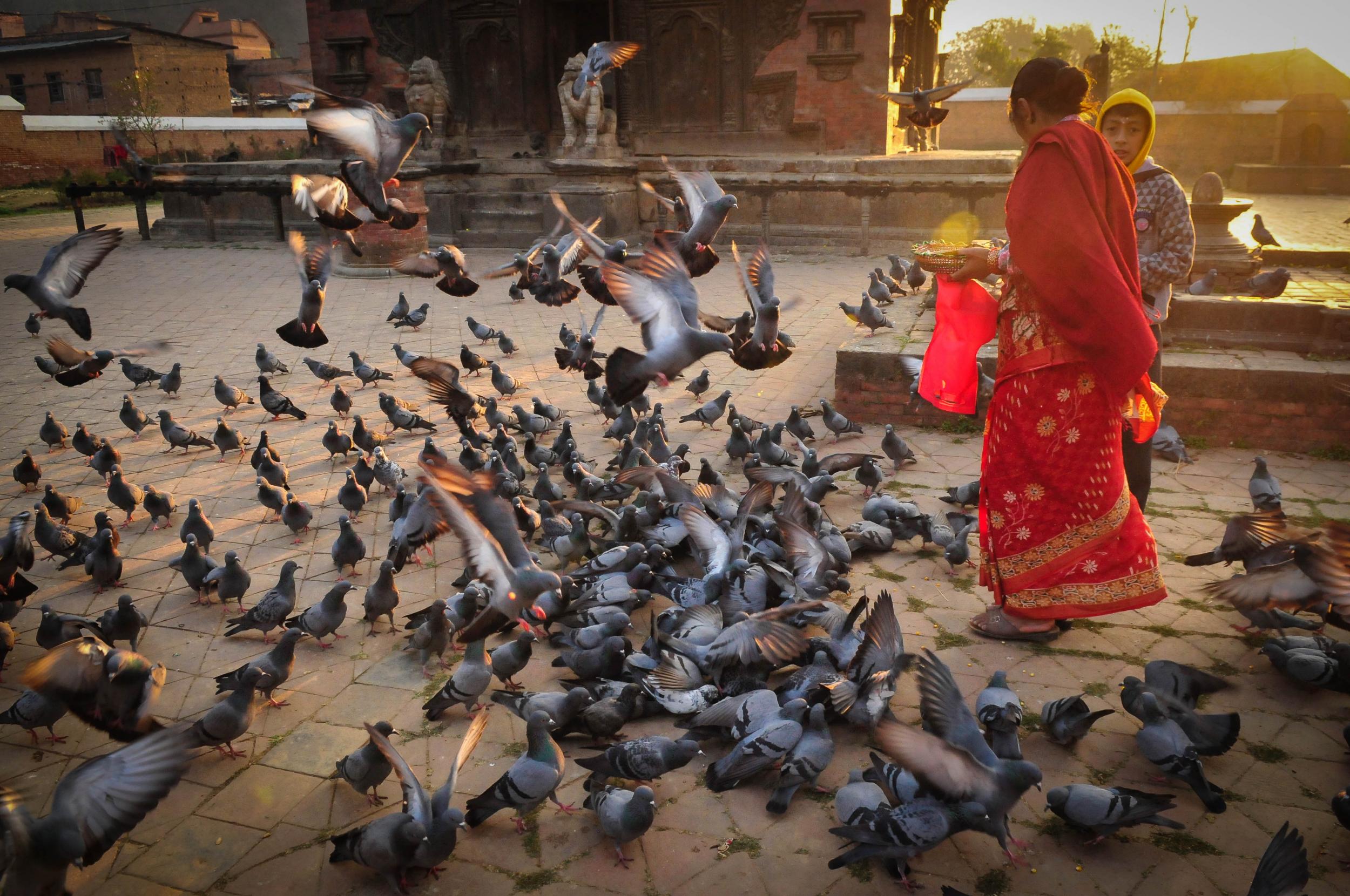 Dawn at Indreshwar Mahadev Temple