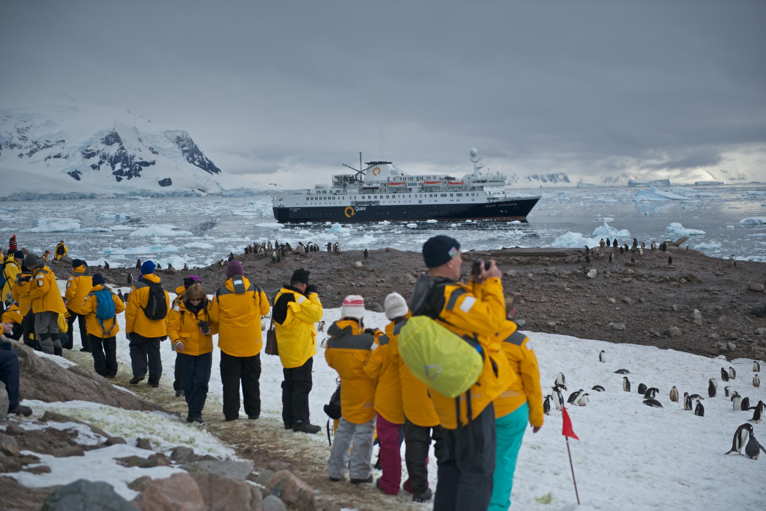 'Ocean Endeavour' lands at Neko Harbour