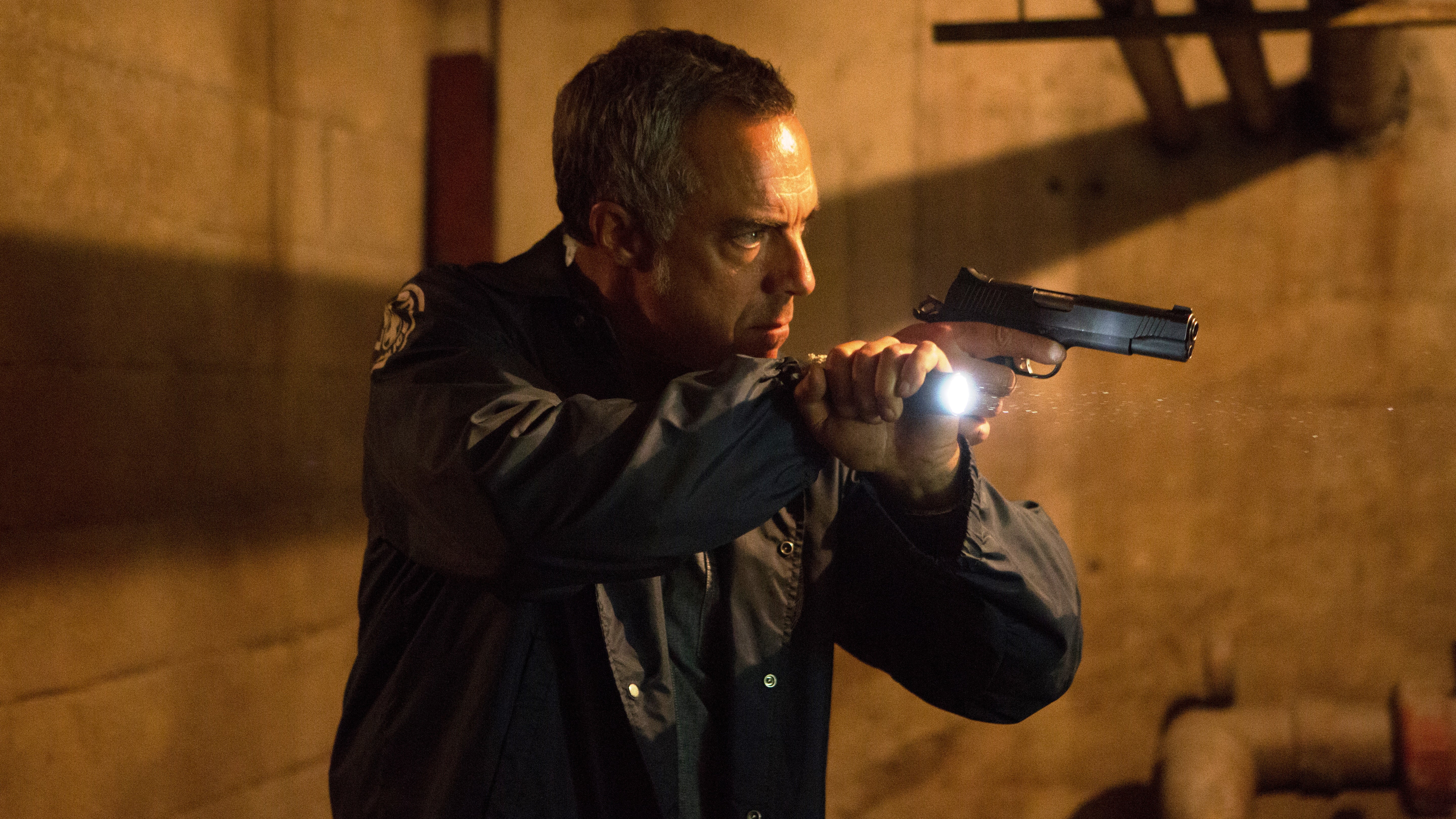 A police procedural series led by literary character Harry Bosch (created by Michael Connelly), this series stars Titus Welliver, Annie Wersching and <i>The Wire</i> alumni Jamie Hector and Lance Reddick.