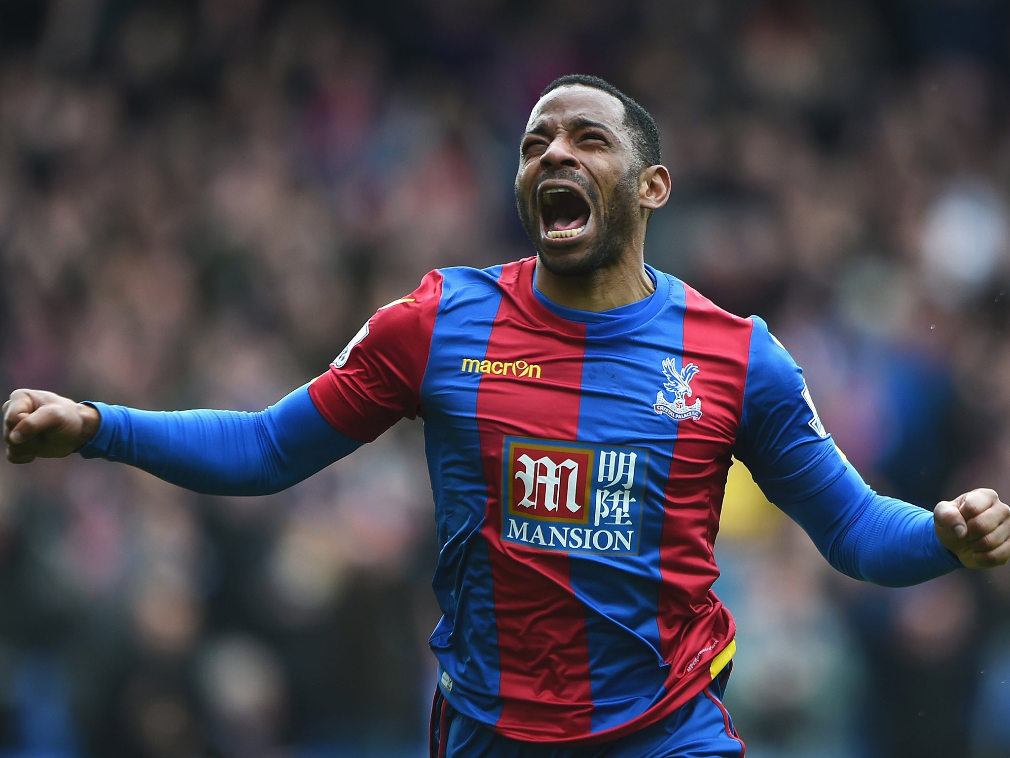 Jason Puncheon celebrates his goal against Norwich earlier this month