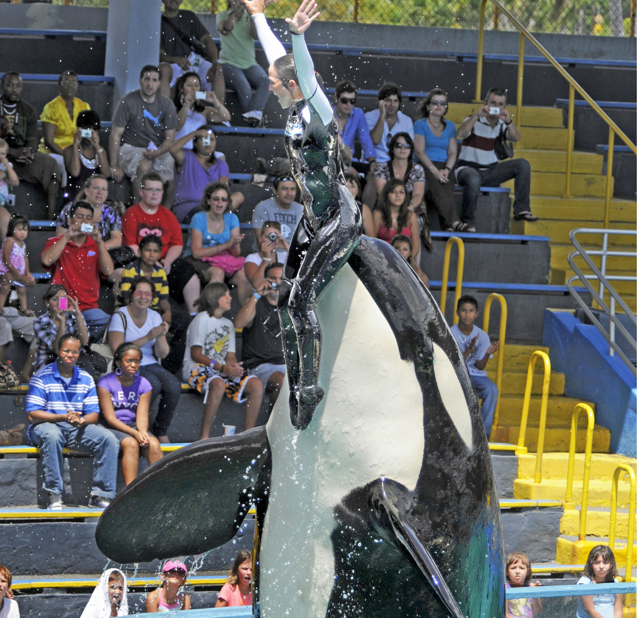 She performs for visitors seven days a week