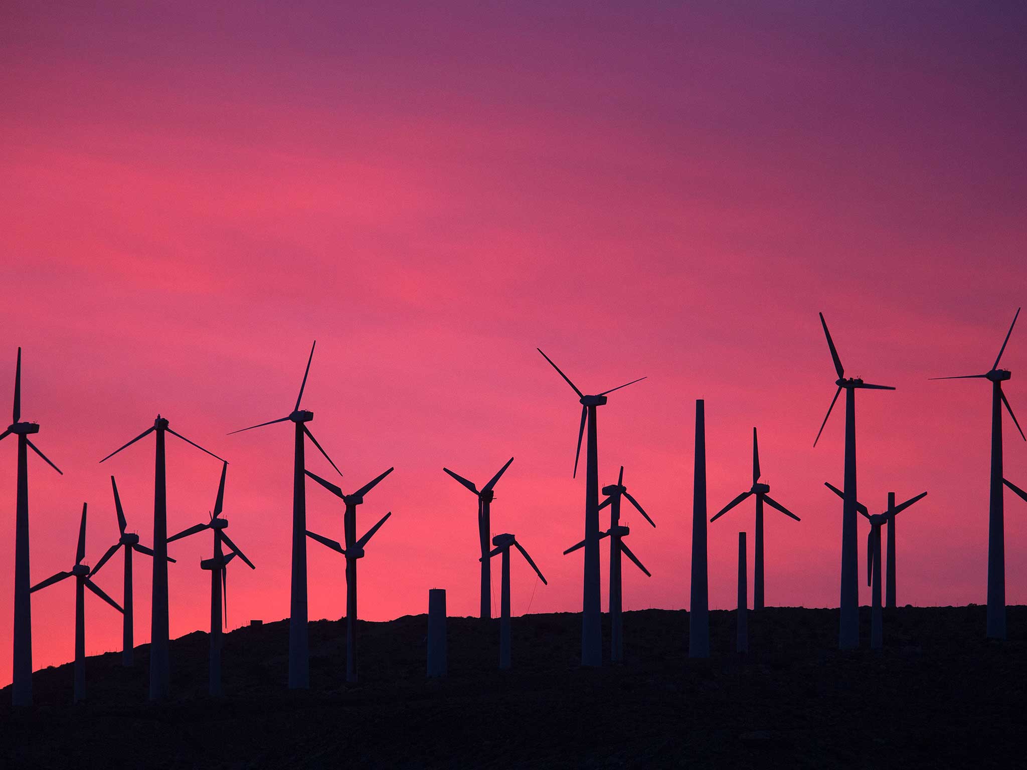 Electricity generating wind turbines at the San Gorgonio Pass near Palm Springs, California