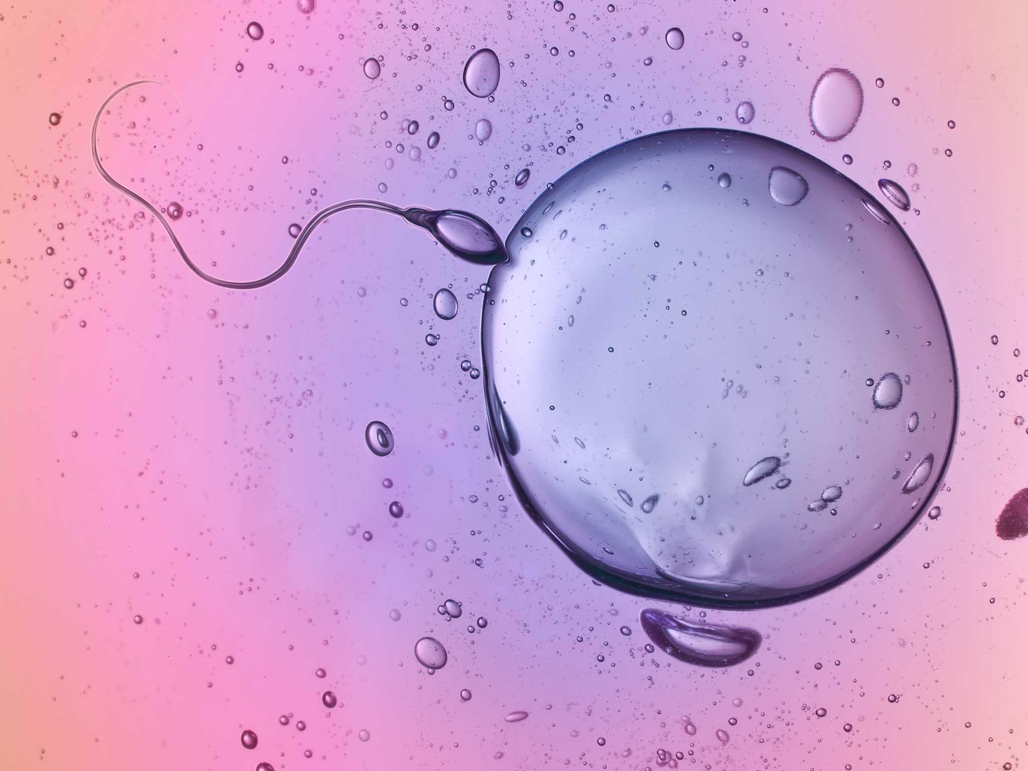 Users of the app can select a sperm donor based on their physical characteristics and personality