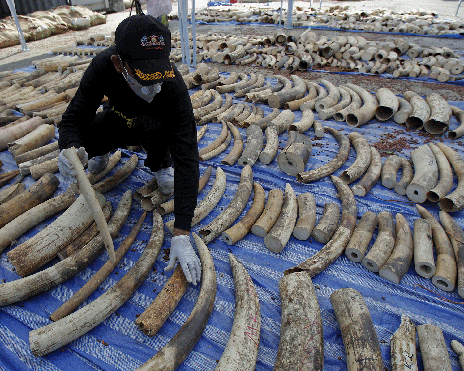 Park rangers were killed in Garamba wildlife park, which is a target for ivory poachers