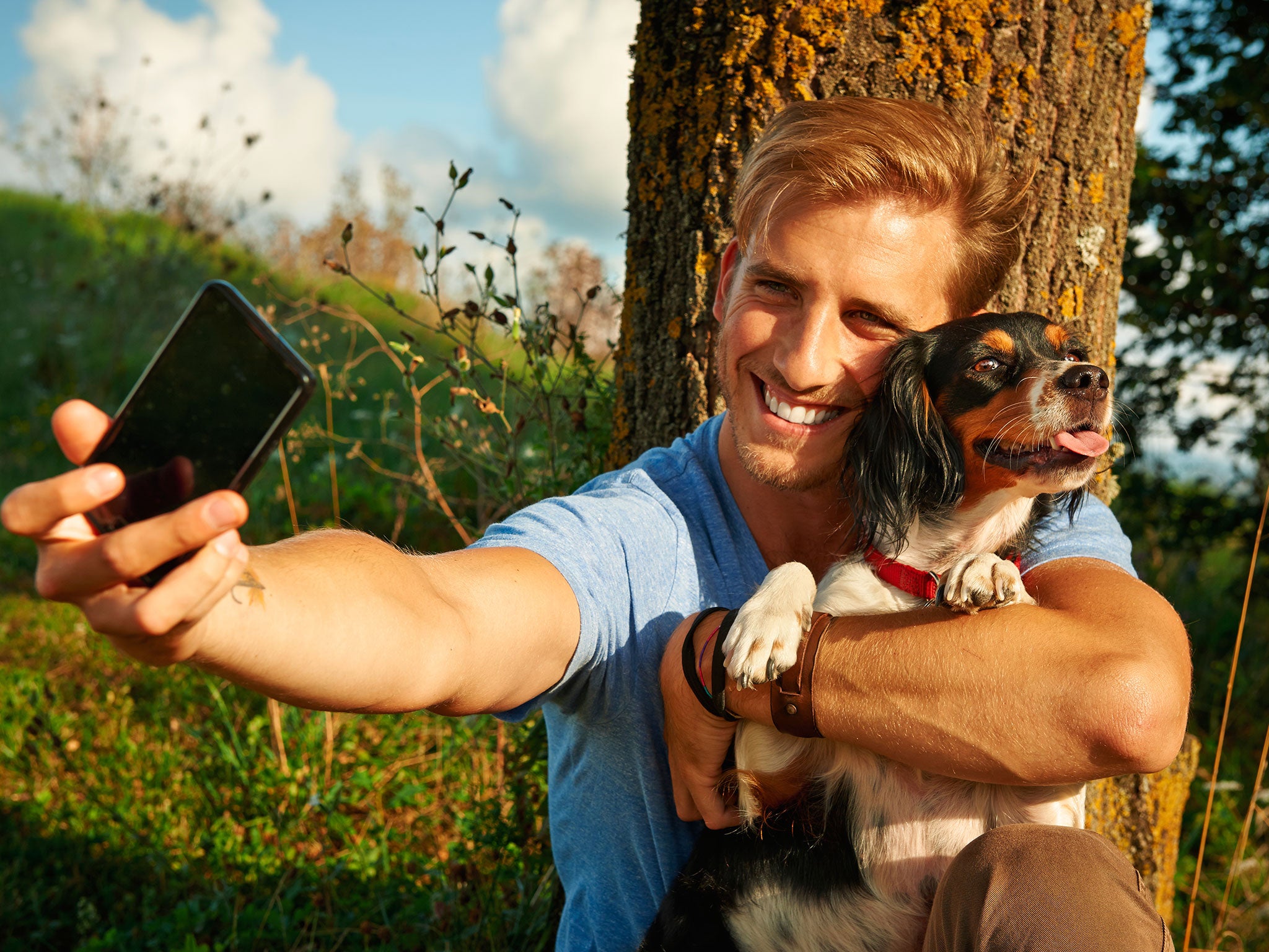 Hugging dogs raises their stress and anxiety levels