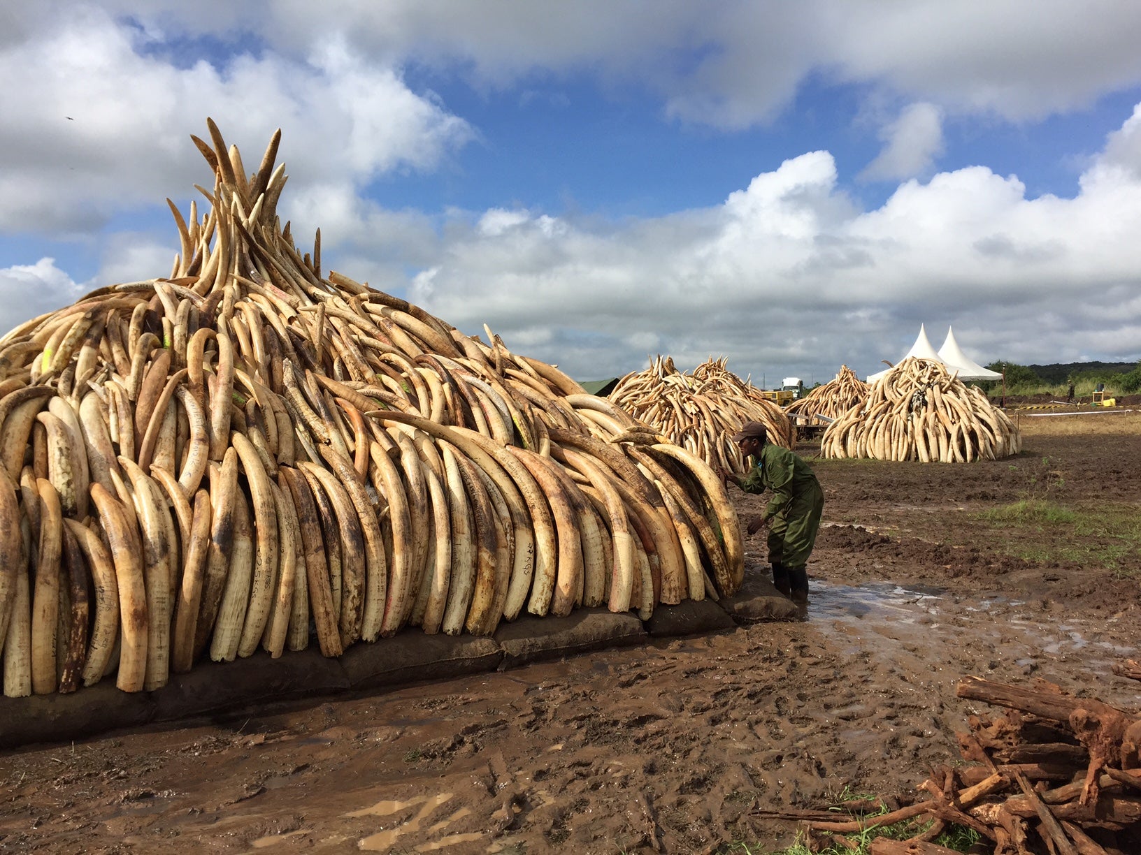 One of the pyres set to go up in flames at the ivory burn following the Giants Club Summit