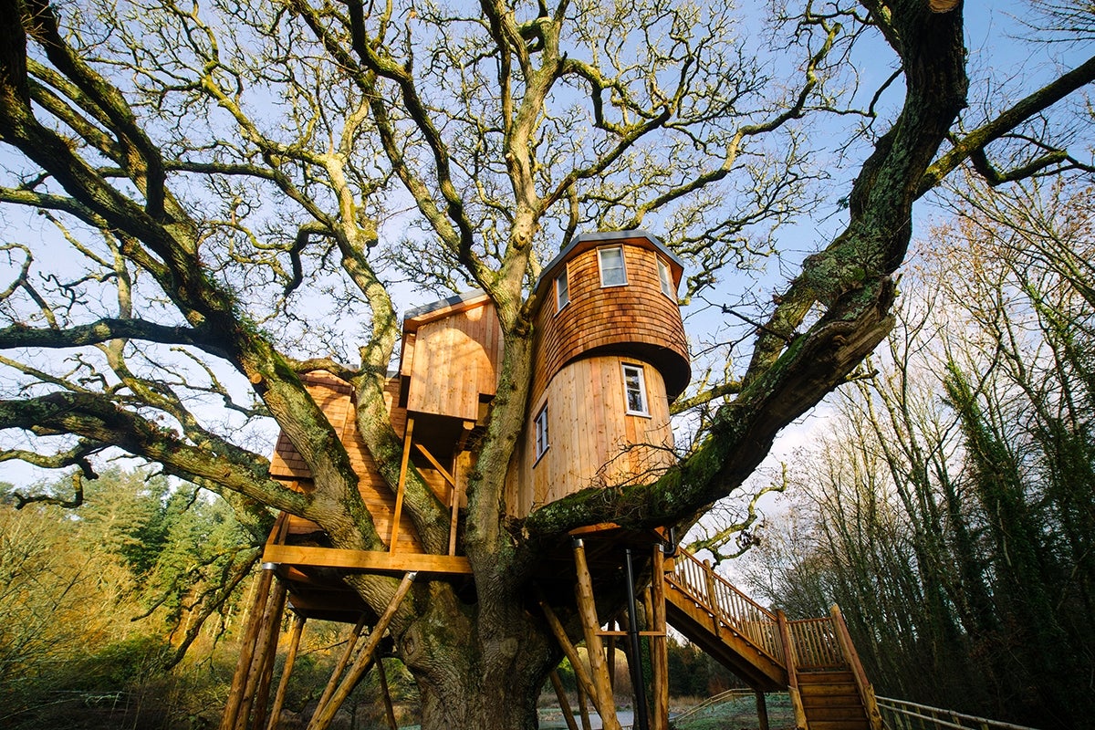 Treetops Treehouse, Devon