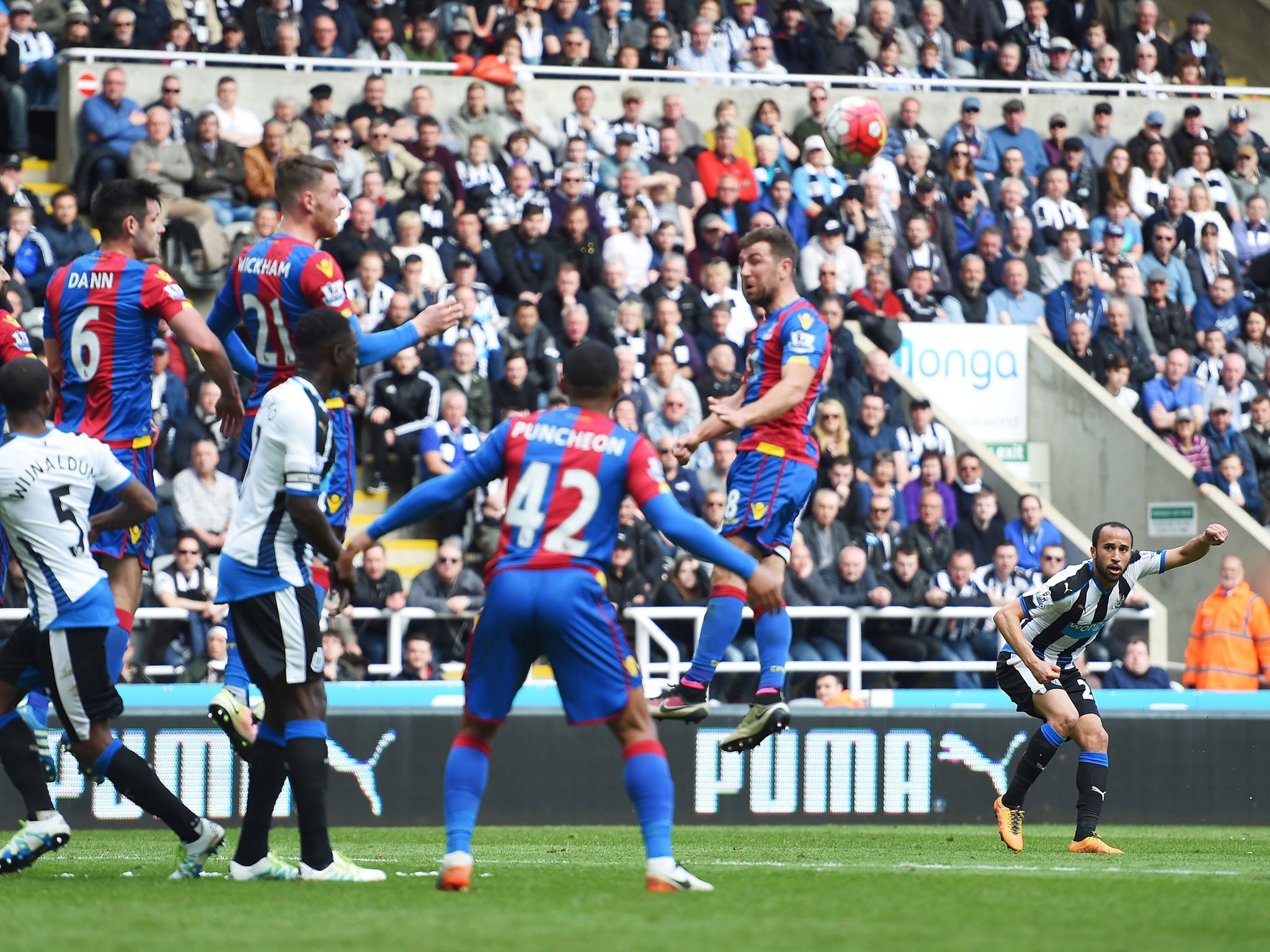 Andros Townsend curls the ball into the top corner from a free-kick