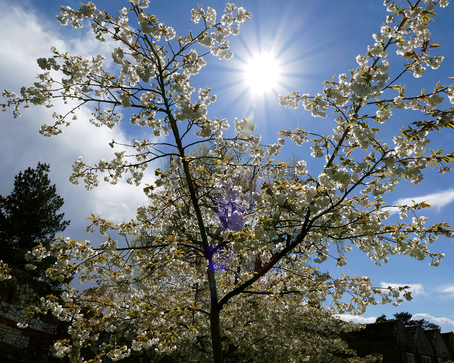 Temperatures are expected to lift towards the end of the week, with the south moving from 13 C up to the early 20s