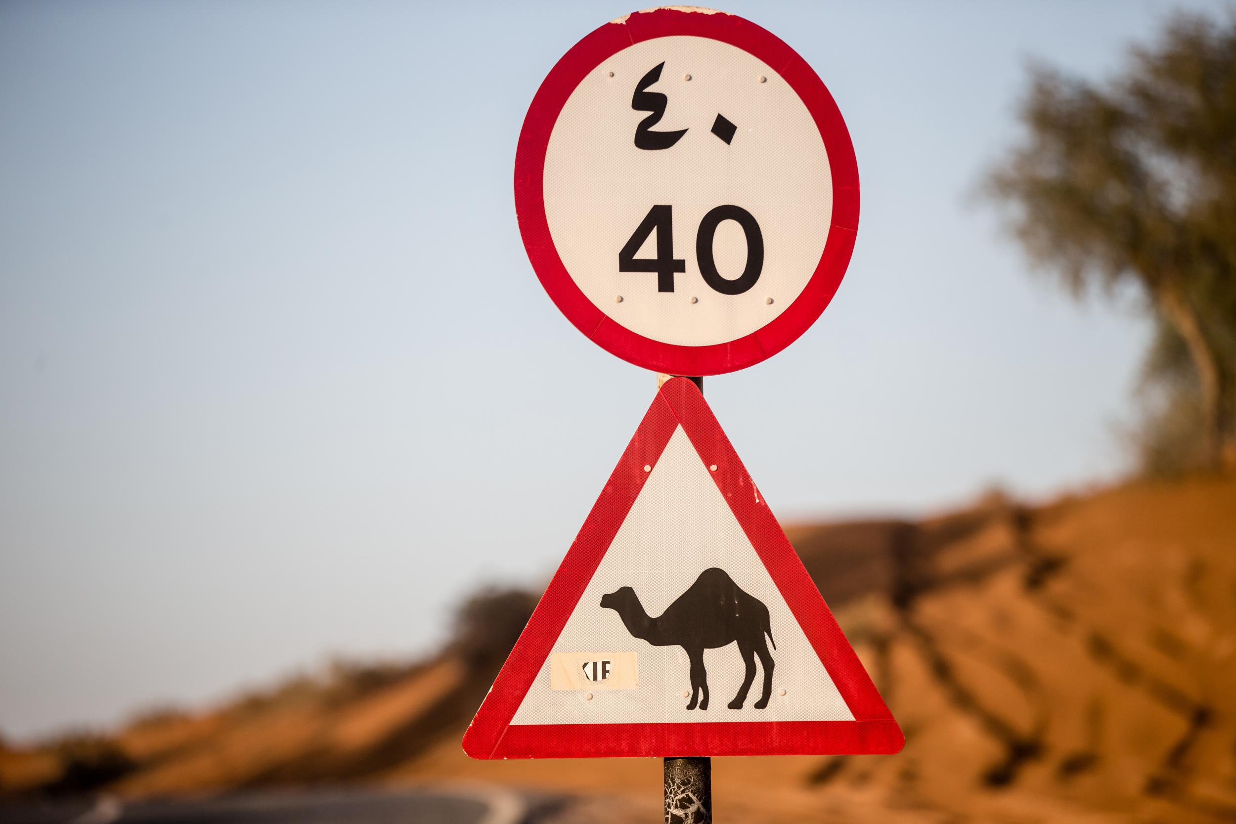 &#13;
Camel warning&#13;