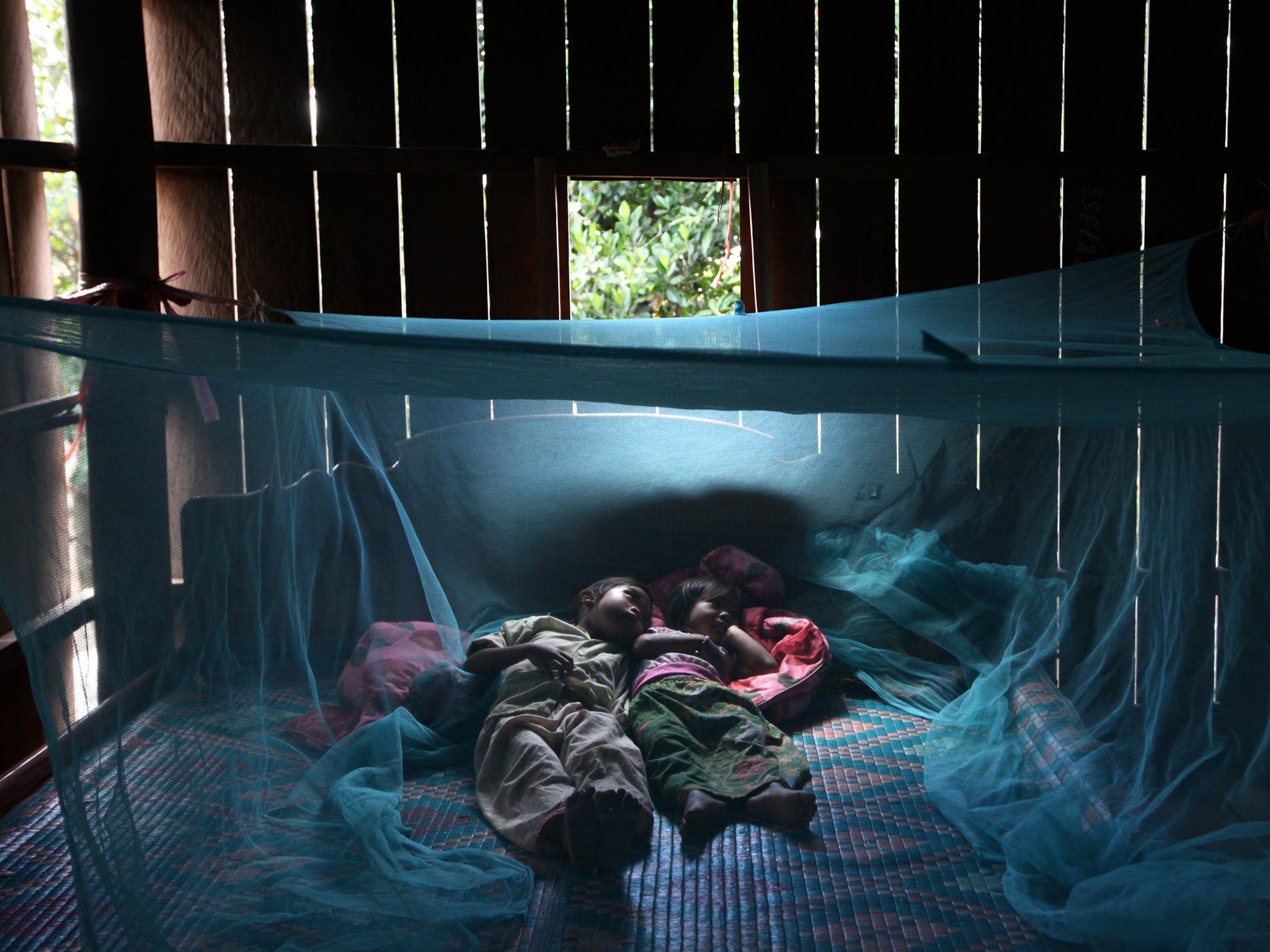 Insecticide treatments for mosquito nets and homes are a major ways of controlling malaria