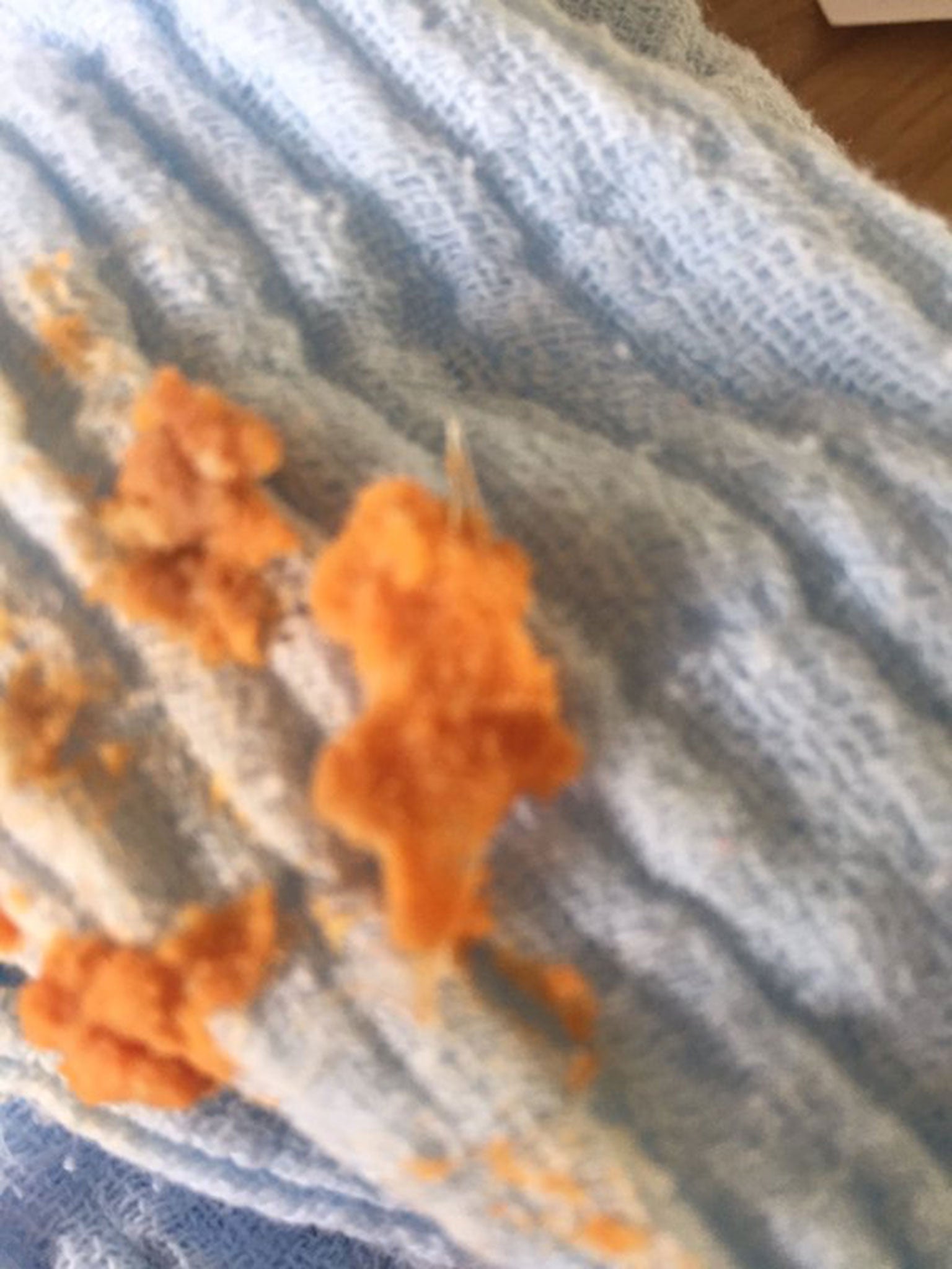 Natalie Haake says she found the chipped piece of plastic inside Jack's sweet potato dinner