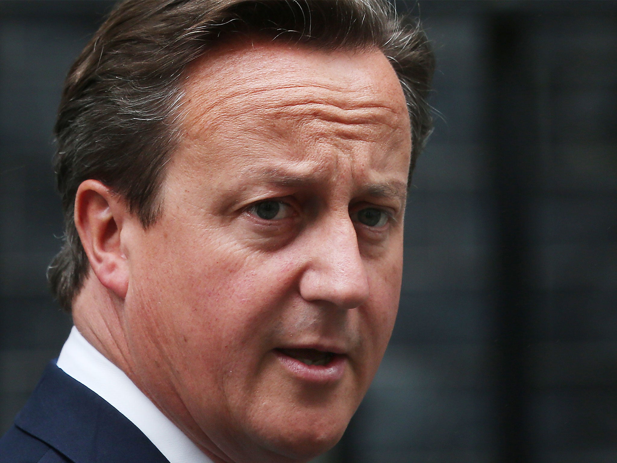 David Cameron said he was 'unashamedly pro-adoption'