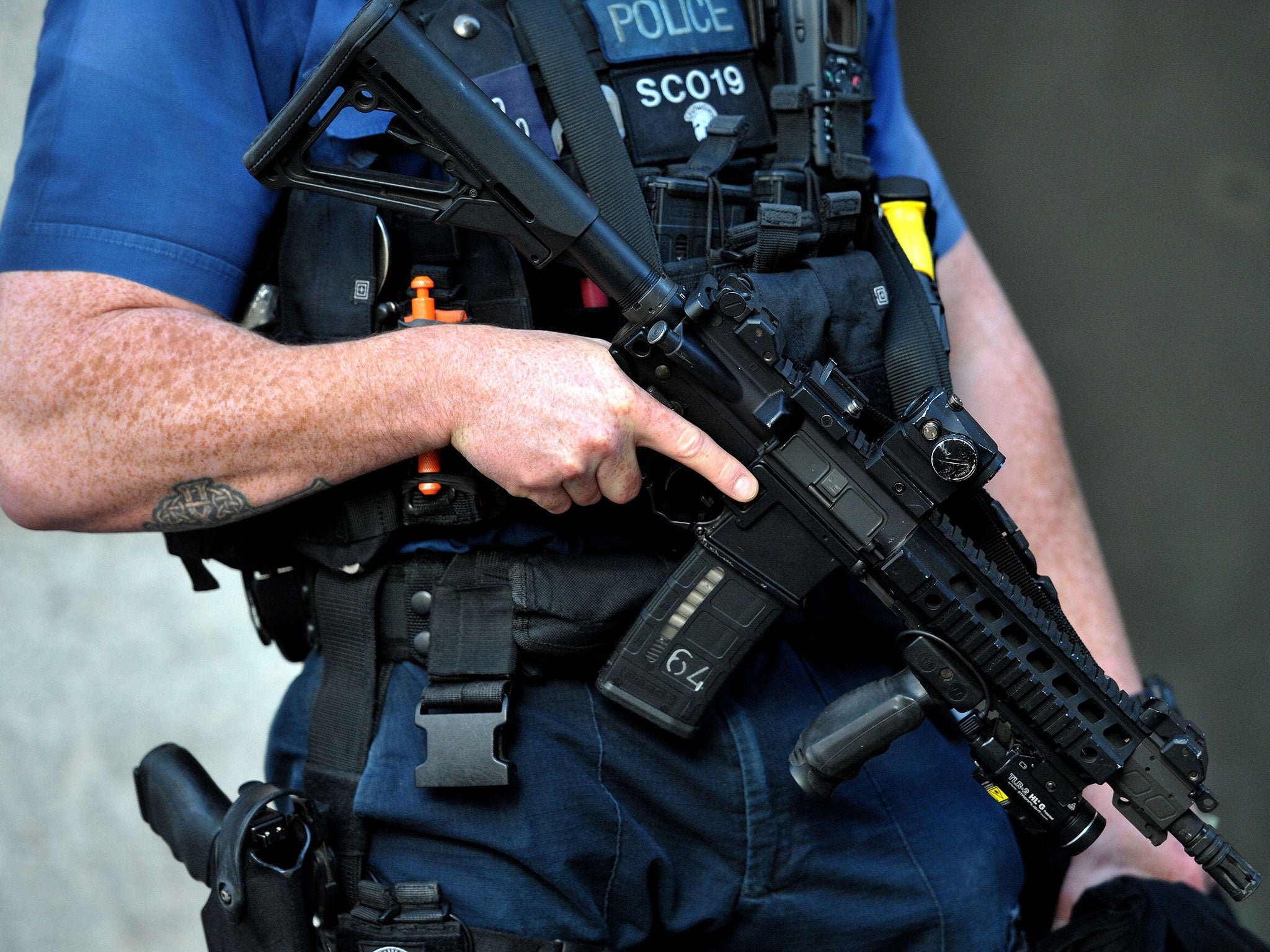 David Cameron announced last month that money will be ring-fenced to boost the number of firearms officers after terror attacks in Brussels and Paris