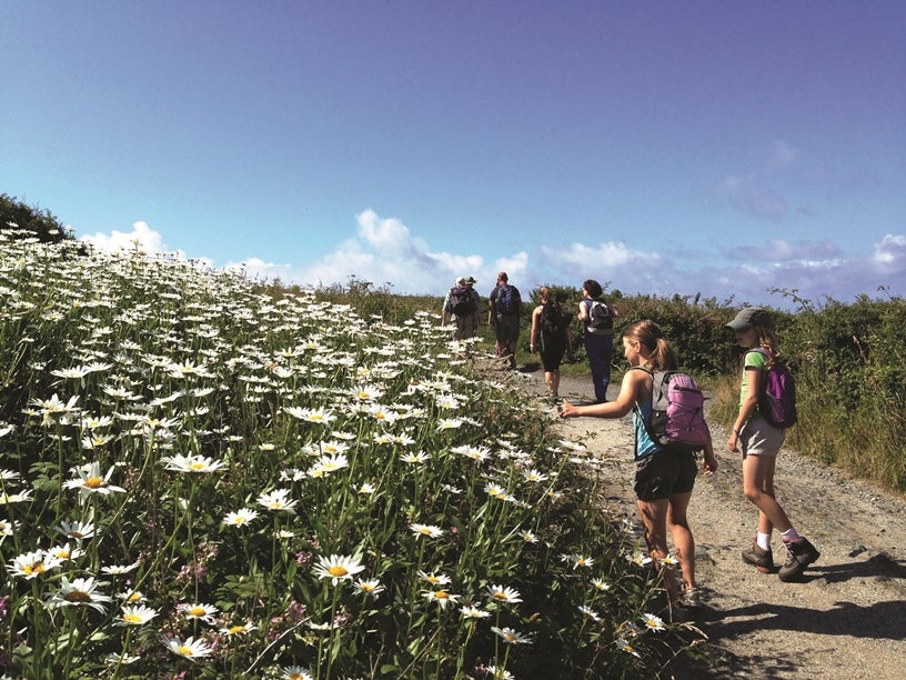 Take a hike on the Isle of Wight