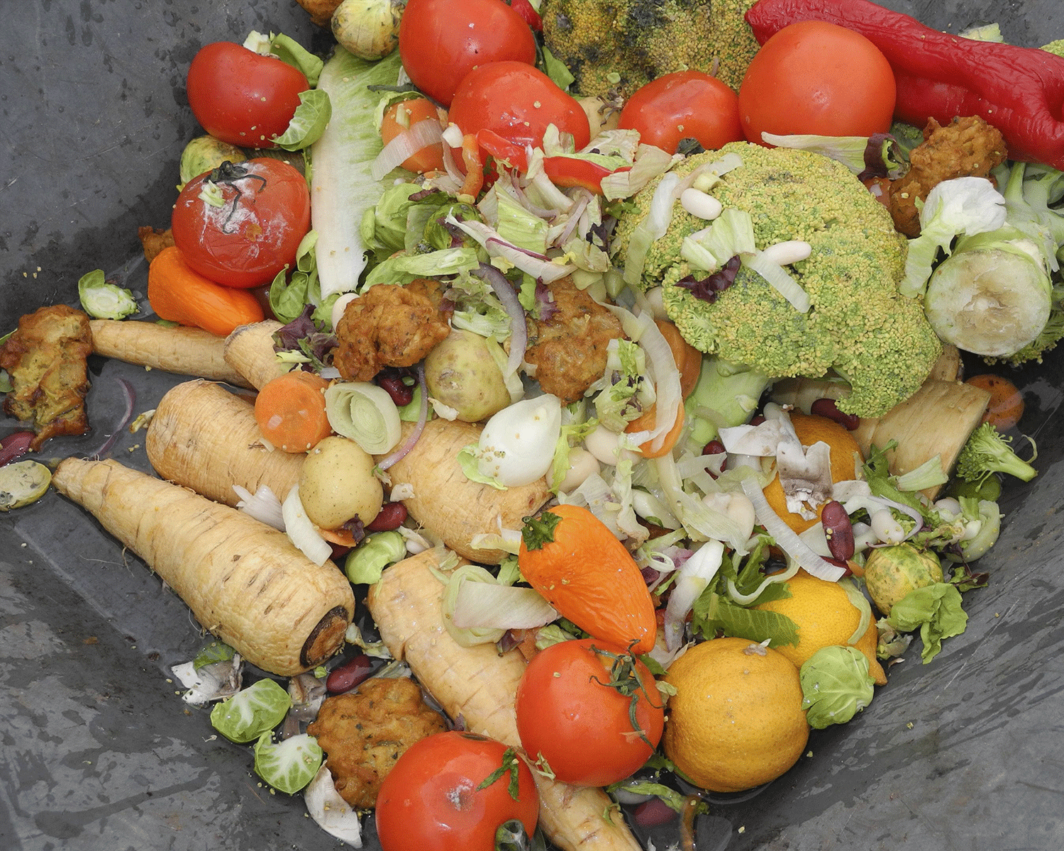 About 850,000 million tonnes of food that are thrown away could safely feed the UK